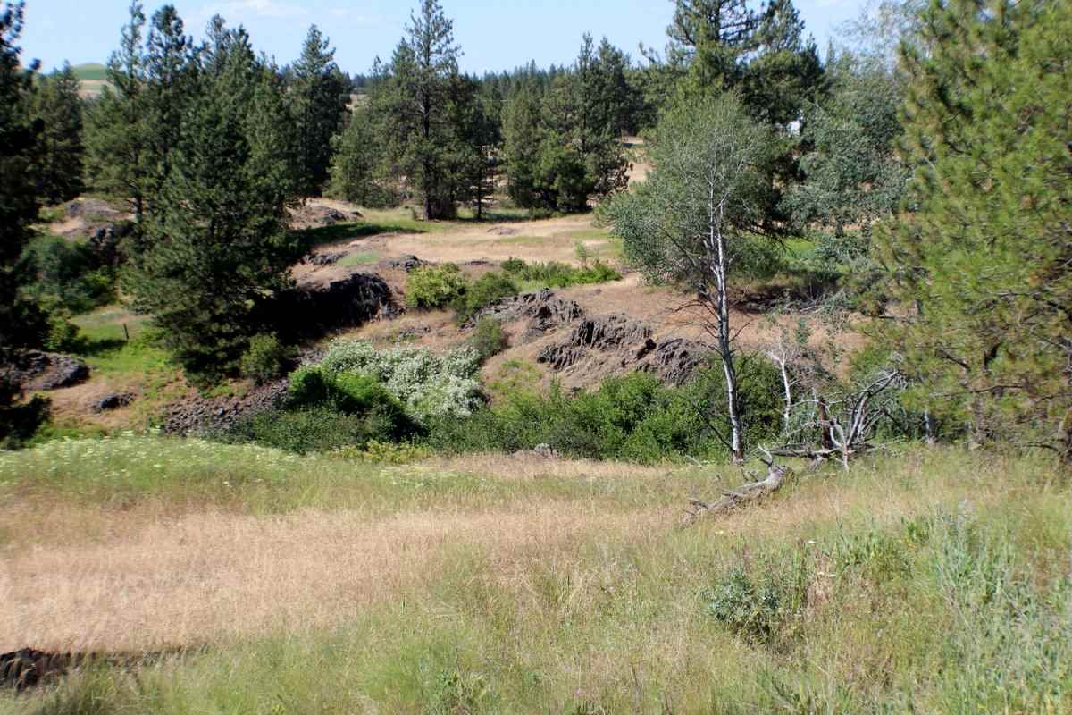 Xx West Williams Lake Road Cheney, WA 99004 - Photo 17 of 19 Gallery Image 17