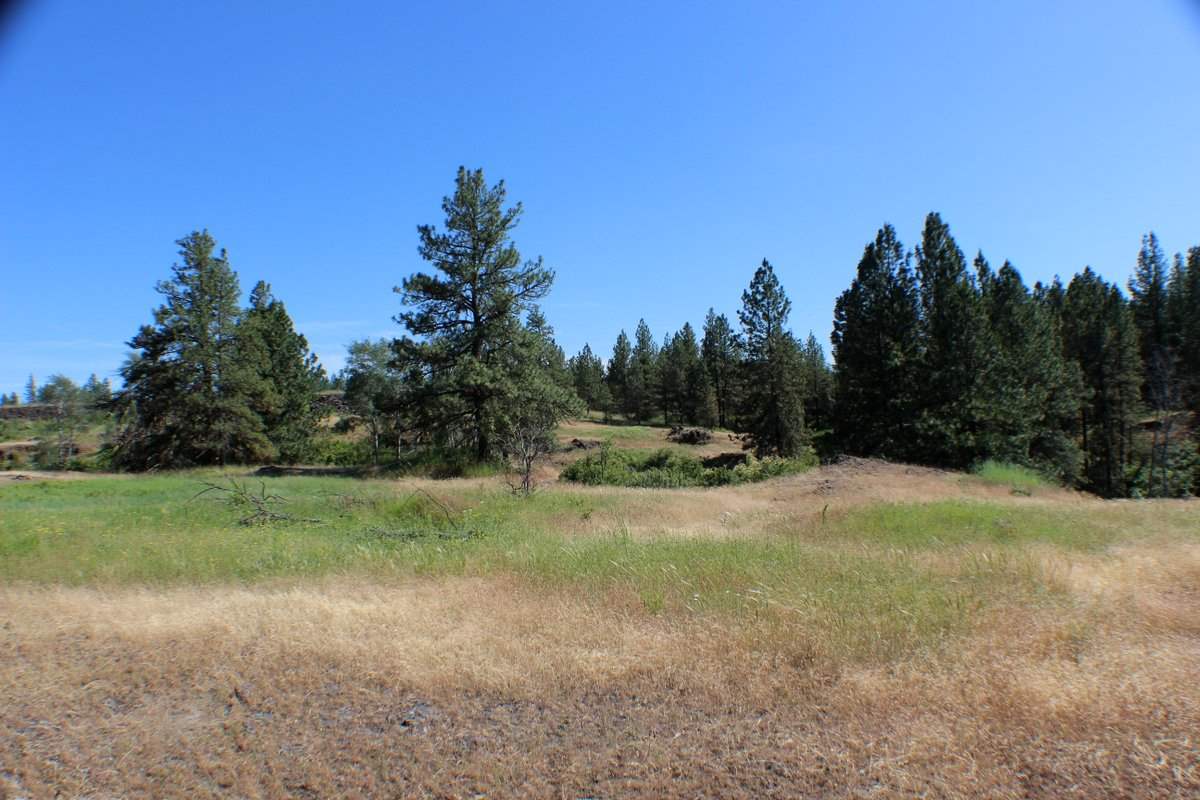 Xx West Williams Lake Road Cheney, WA 99004 - Photo 19 of 19 Gallery Image 19