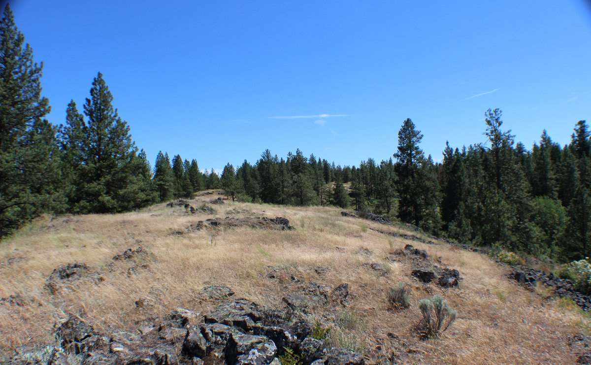 Xx West Williams Lake Road Cheney, WA 99004 - Photo 3 of 19 Gallery Image 3