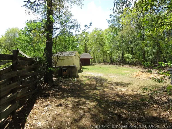a view of a yard with large trees