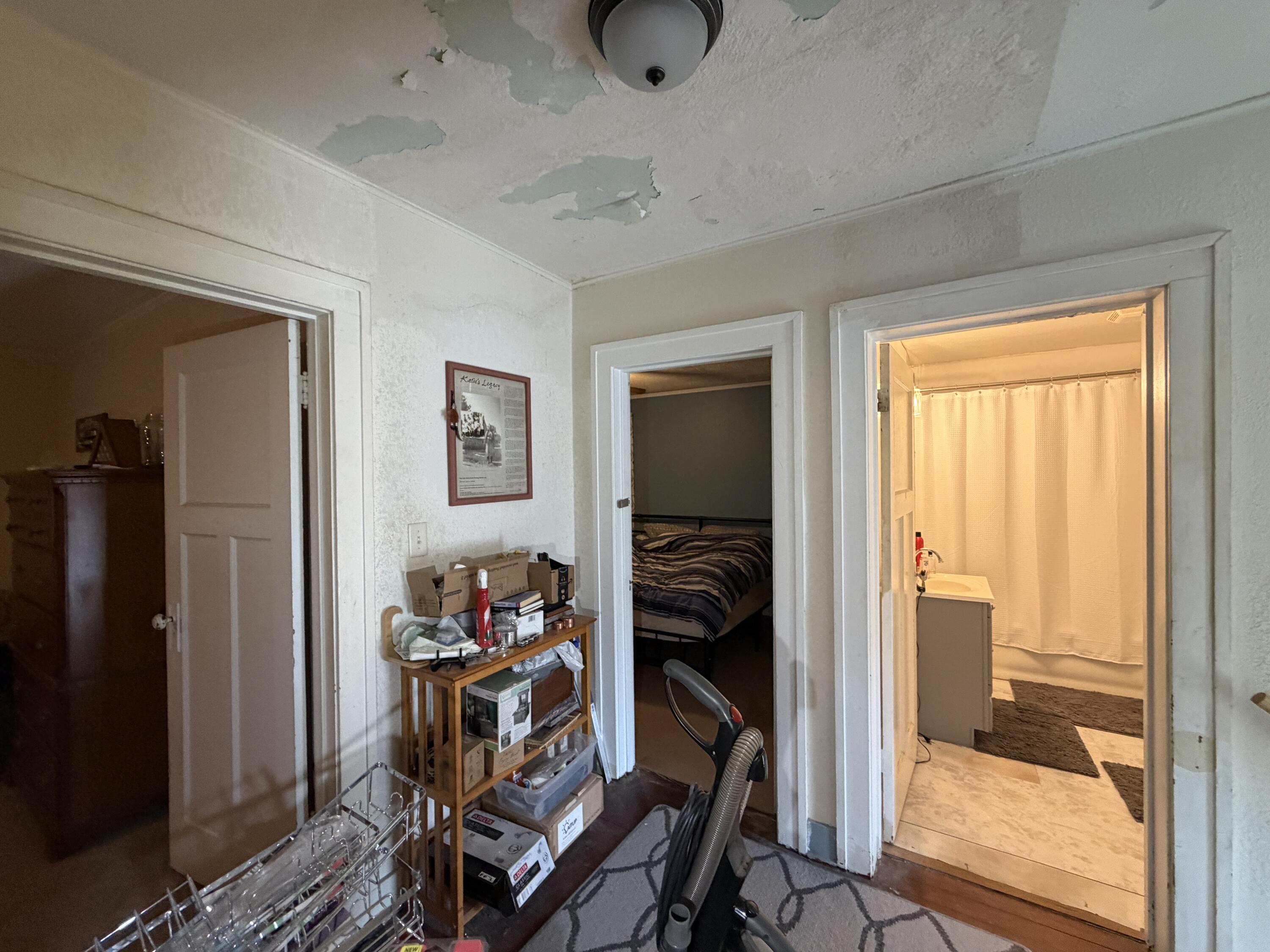 338 East Racine Street Jefferson, WI 53549 - Photo 53 of 149 IMG_6234