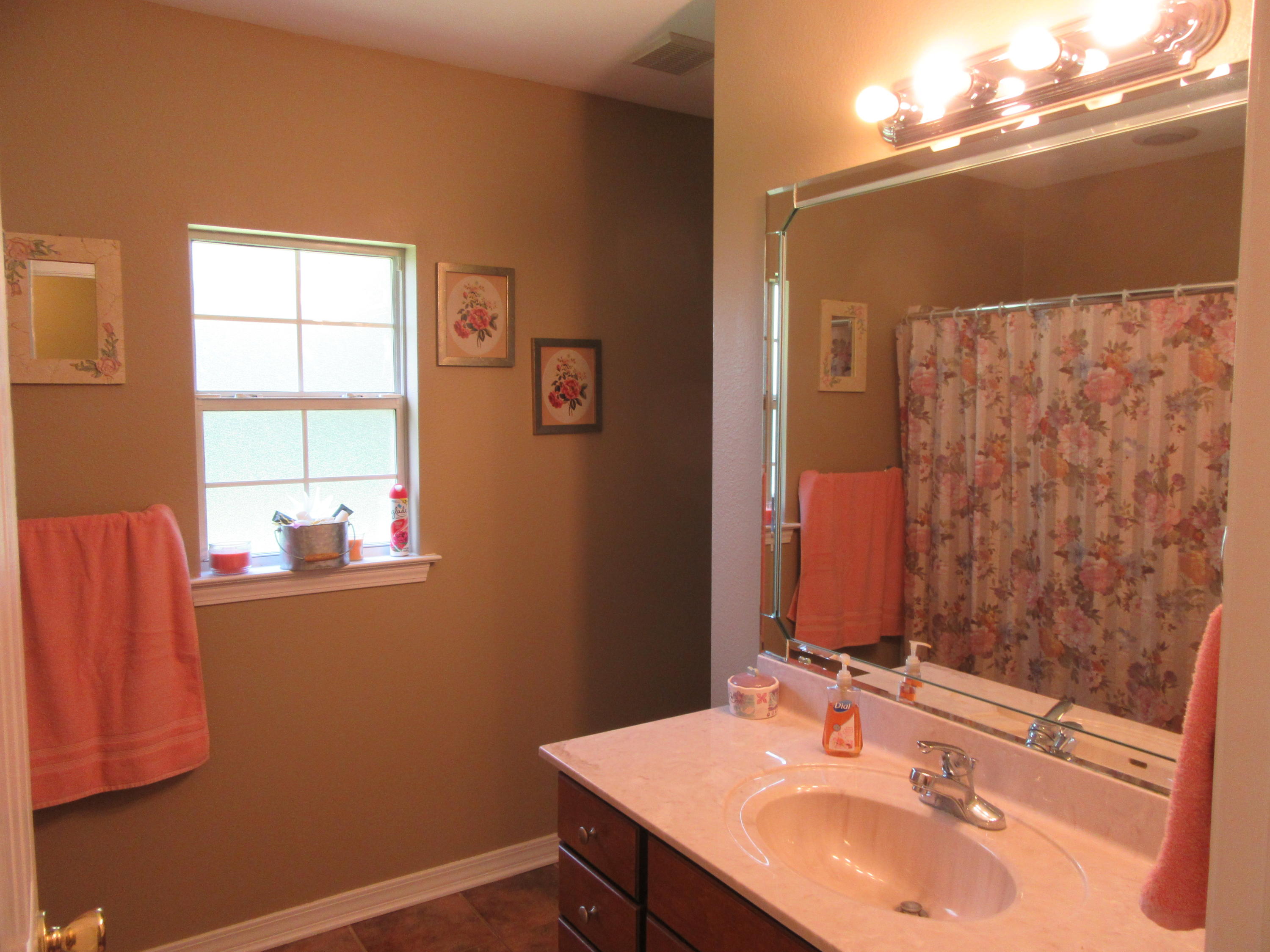 5968 Buckward Road Baker, FL 32531 - Photo 35 of 52 a bathroom with a sink and a mirror