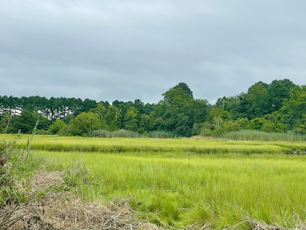Lot 3 Green Landing Road, Unit 3 Onancock, VA 23417 - Photo 28 of 43