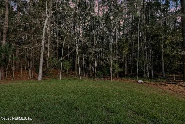 a backyard of a house with lots of green space