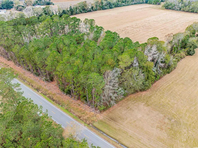 $40,000 | Tbd Vox Highway, Johnsonville, SC 29555