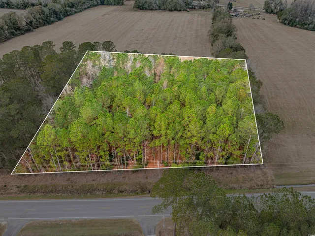 $40,000 | Tbd Vox Highway, Johnsonville, SC 29555