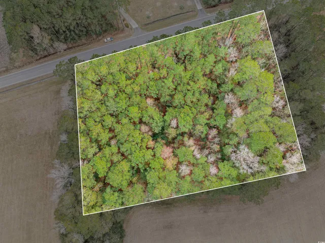 $40,000 | Tbd Vox Highway, Johnsonville, SC 29555