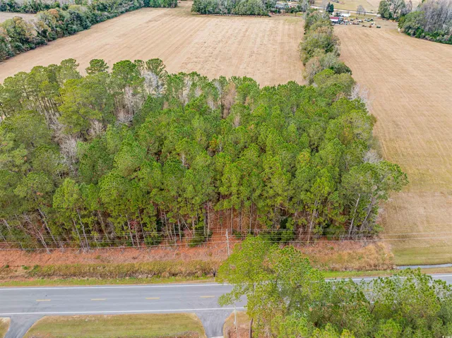 $40,000 | Tbd Vox Highway, Johnsonville, SC 29555