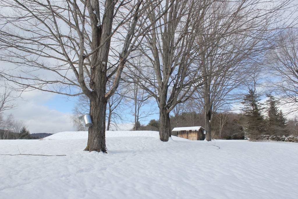 130 Eureka Road Springfield, VT 05156 - Photo 11 of 24