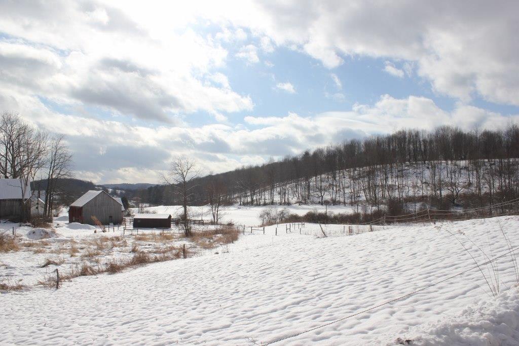 130 Eureka Road Springfield, VT 05156 - Photo 10 of 24
