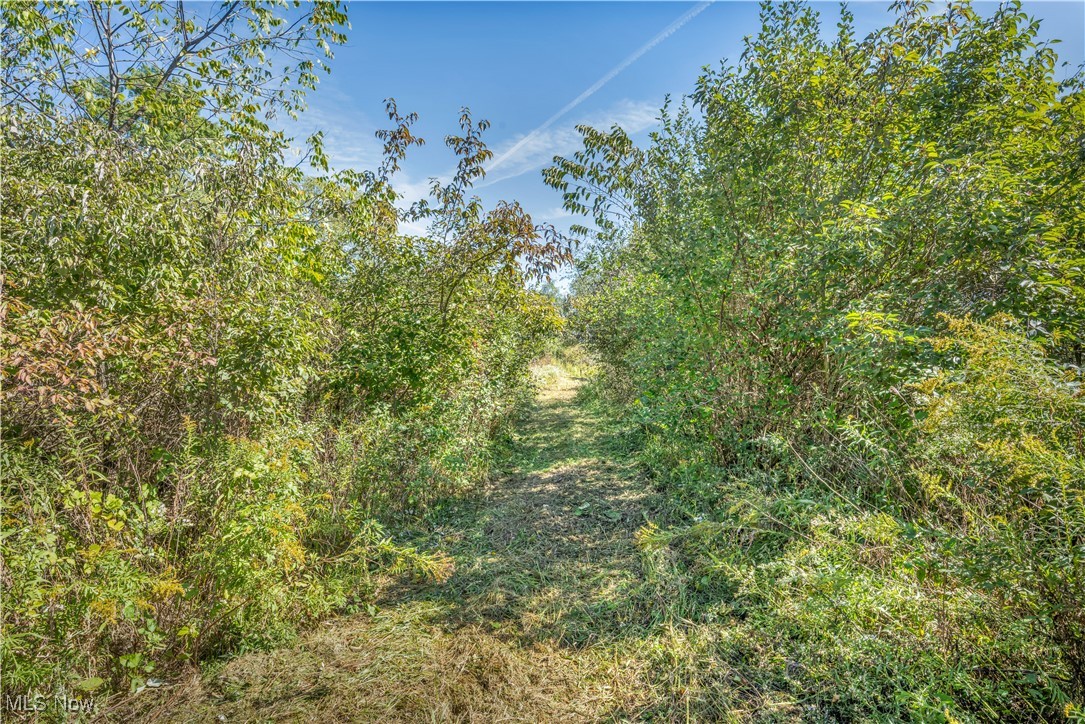 4032 Hanford Road Wakeman, OH 44889 - Photo 46 of 50 View of landscape