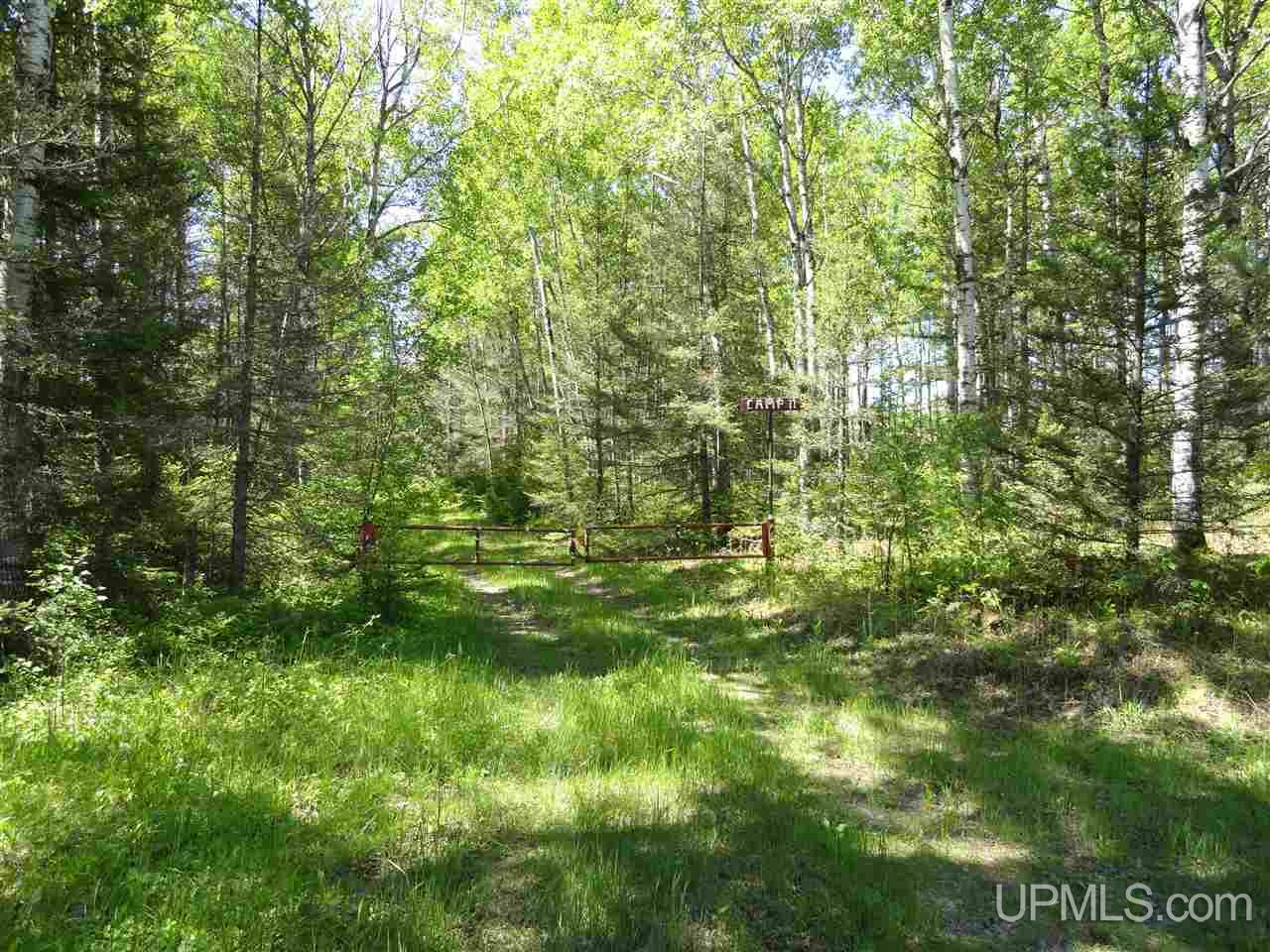 11 Co Road Felch, MI 49831 - Photo 8 of 36