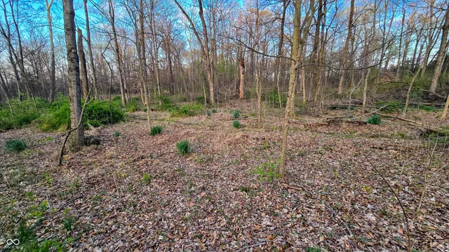 $215,000 | 0 East Crothersville Road, Austin, IN 47102