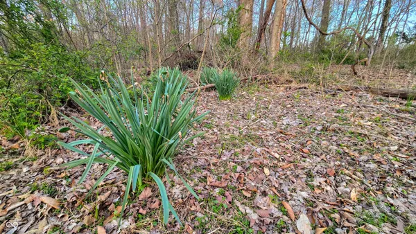 $198,000 | 0 East Crothersville Road, Austin, IN 47102