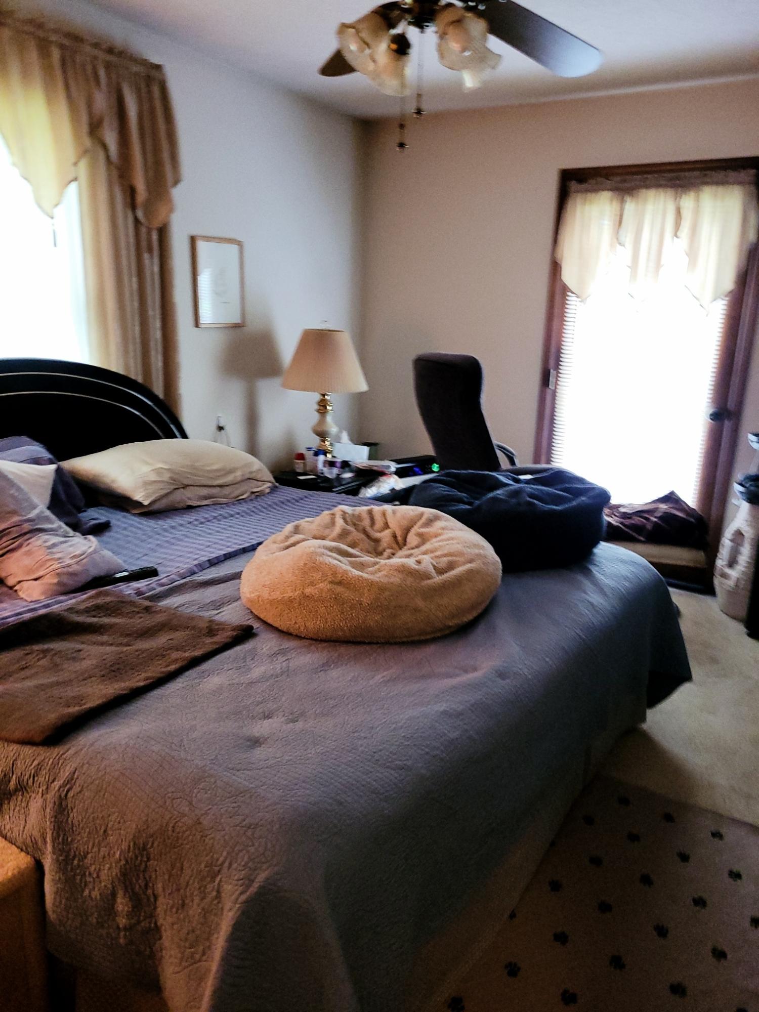 101 Ridge Cir Drive Fall Branch, TN 37656 - Photo 6 of 9 ridge master bedroom