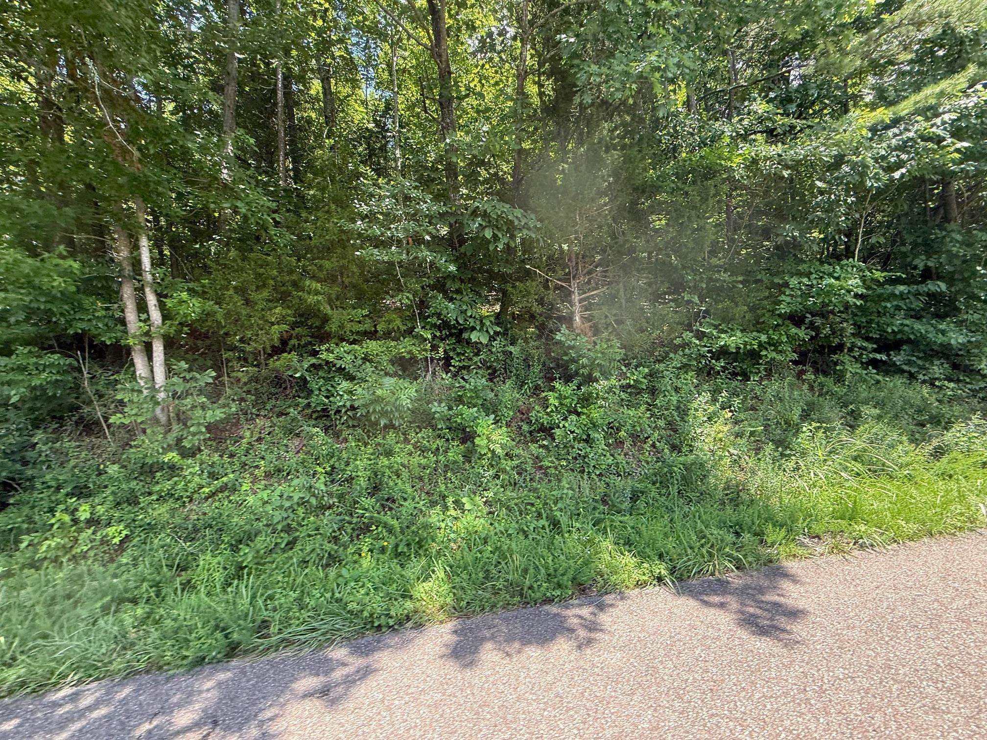 2 Cherry Chapel Loop Savannah, TN 38372 - Photo 11 of 22 a view of a forest with a street