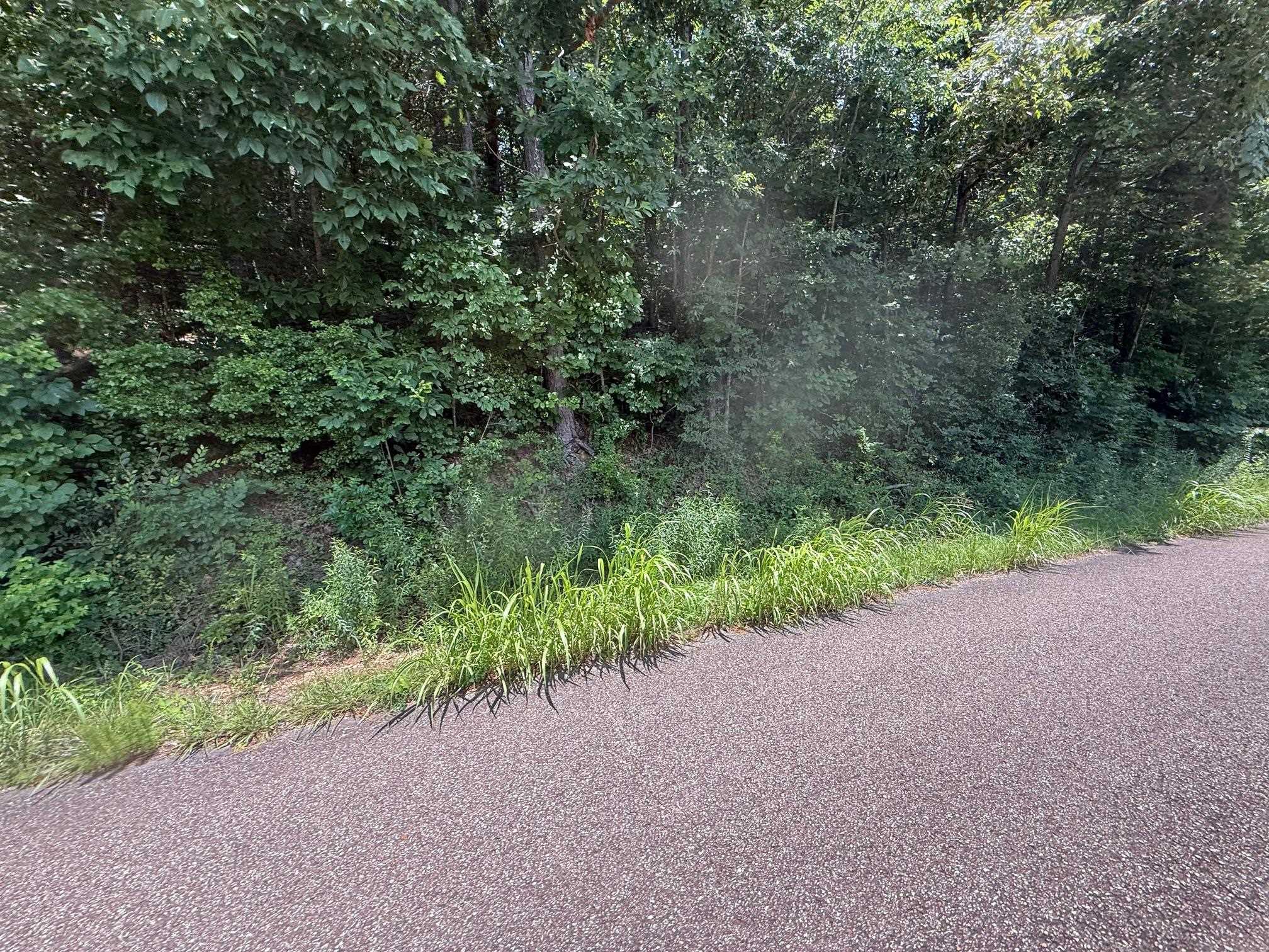 2 Cherry Chapel Loop Savannah, TN 38372 - Photo 12 of 22 a view of a garden with plants