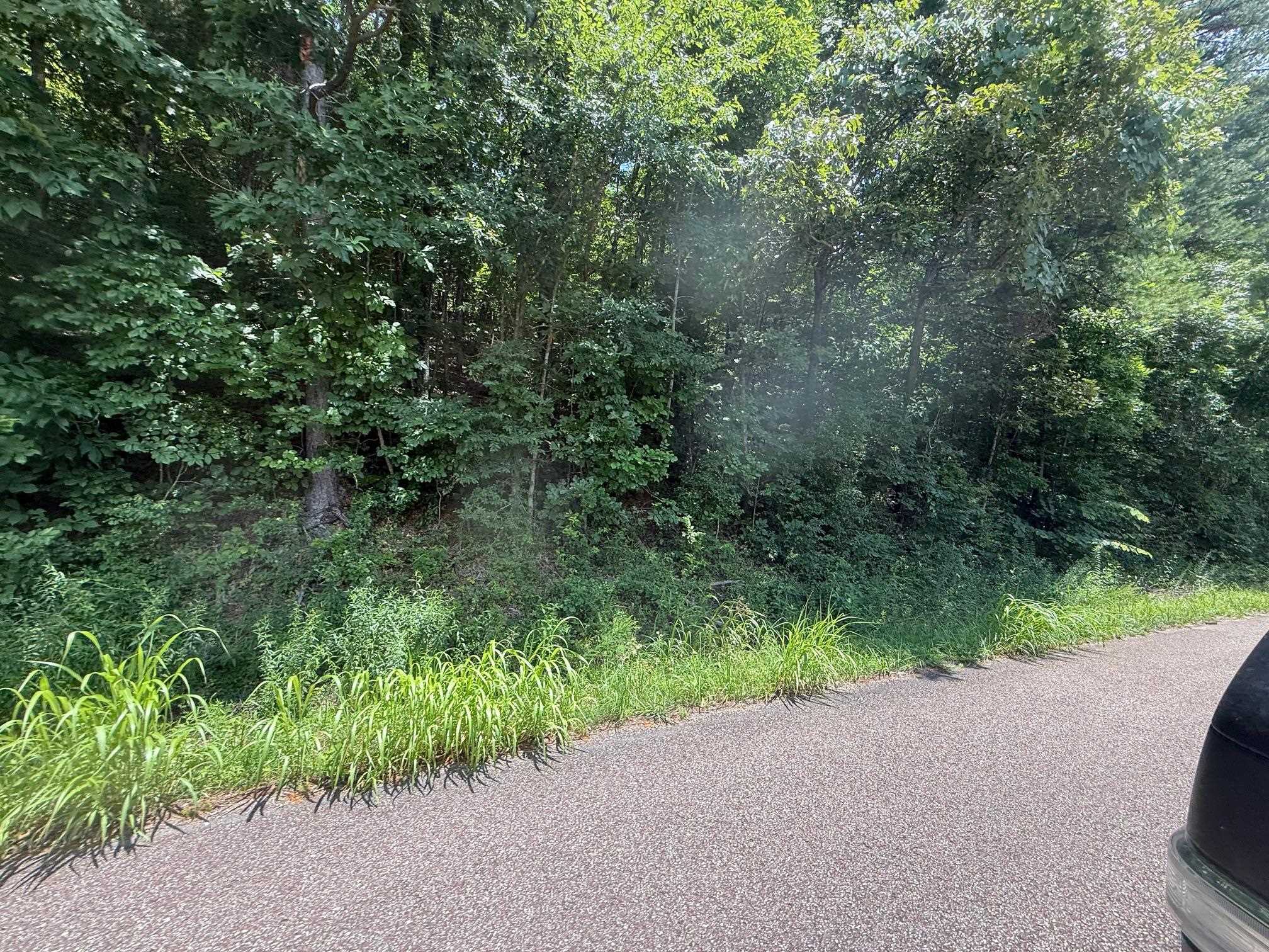 2 Cherry Chapel Loop Savannah, TN 38372 - Photo 13 of 22 a view of a road with a yard