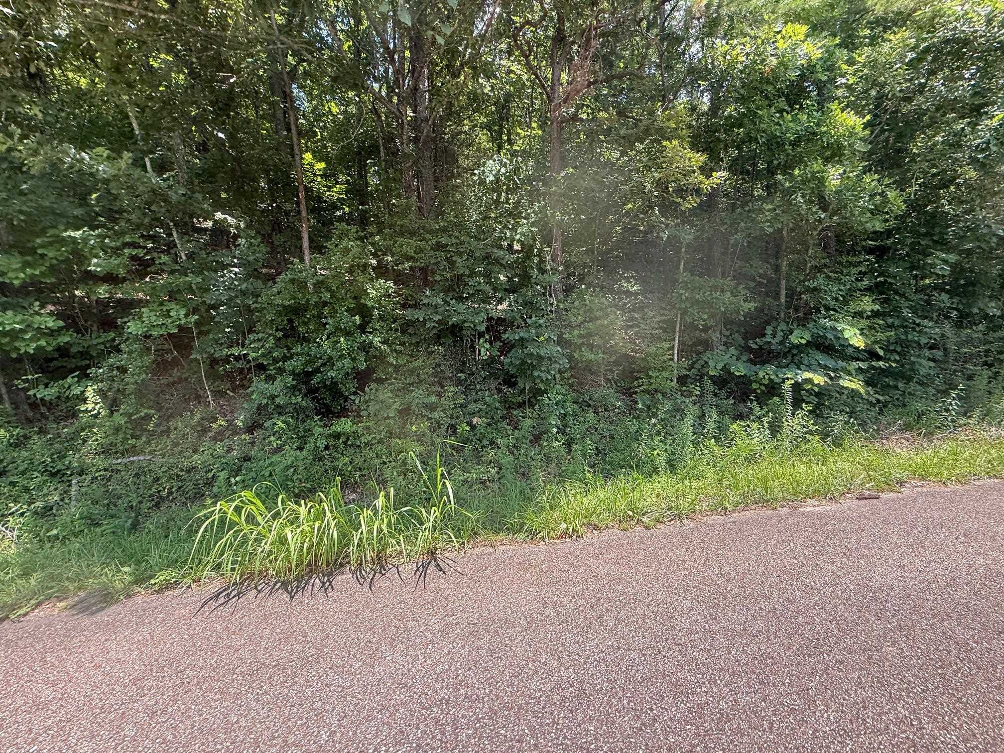 2 Cherry Chapel Loop Savannah, TN 38372 - Photo 14 of 22 a view of a field with plants and trees