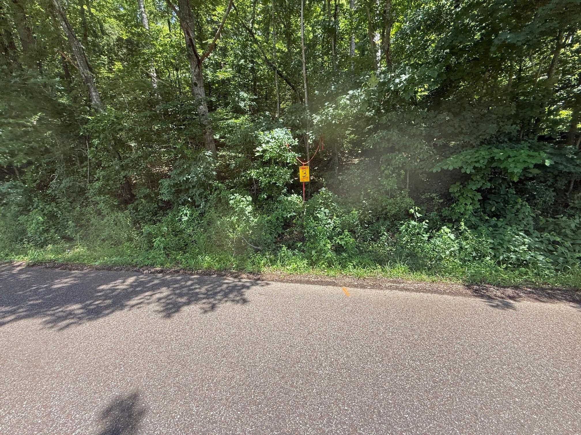2 Cherry Chapel Loop Savannah, TN 38372 - Photo 16 of 22 a view of a roadside with trees
