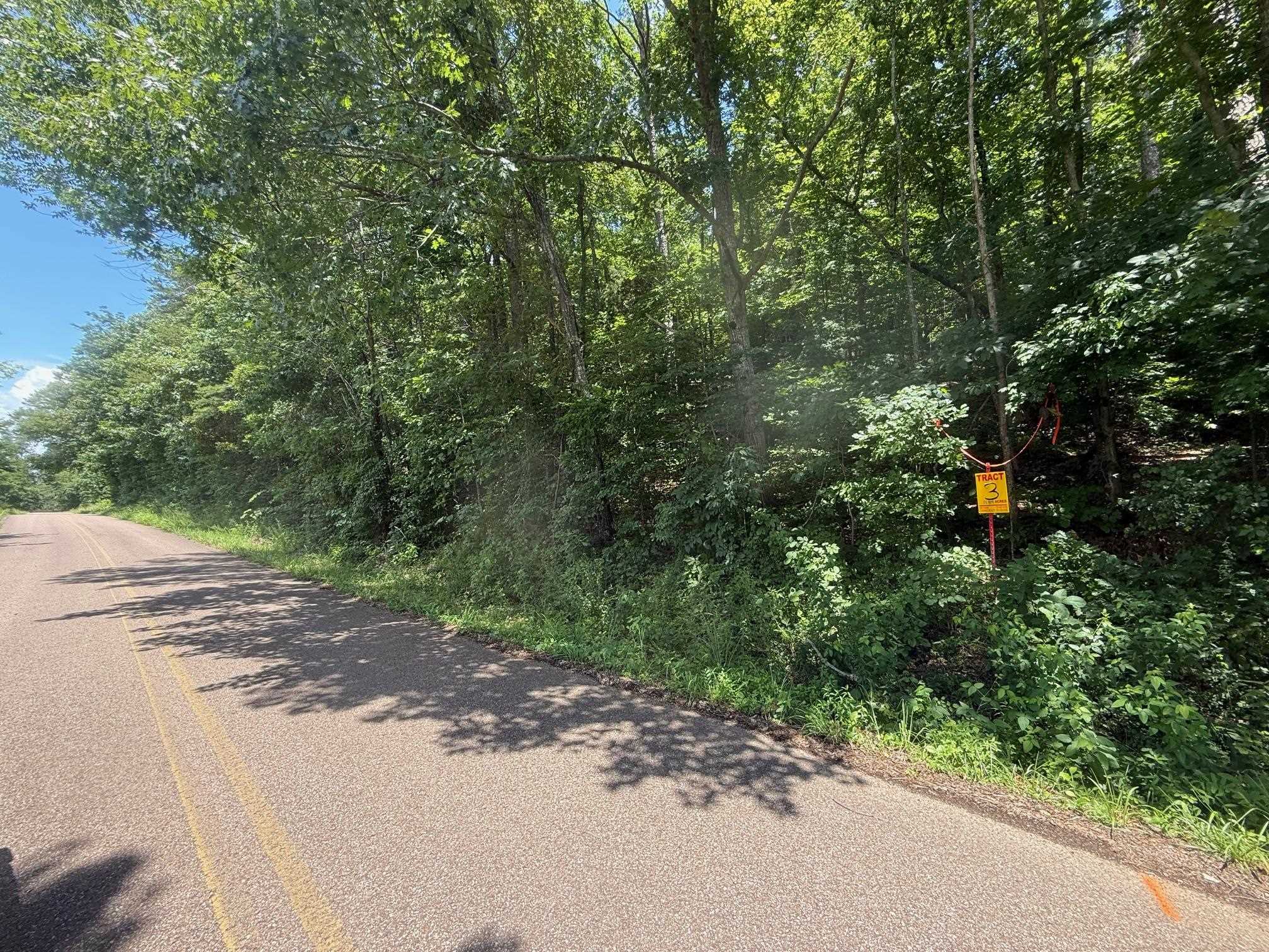 2 Cherry Chapel Loop Savannah, TN 38372 - Photo 17 of 22 a picture of street view