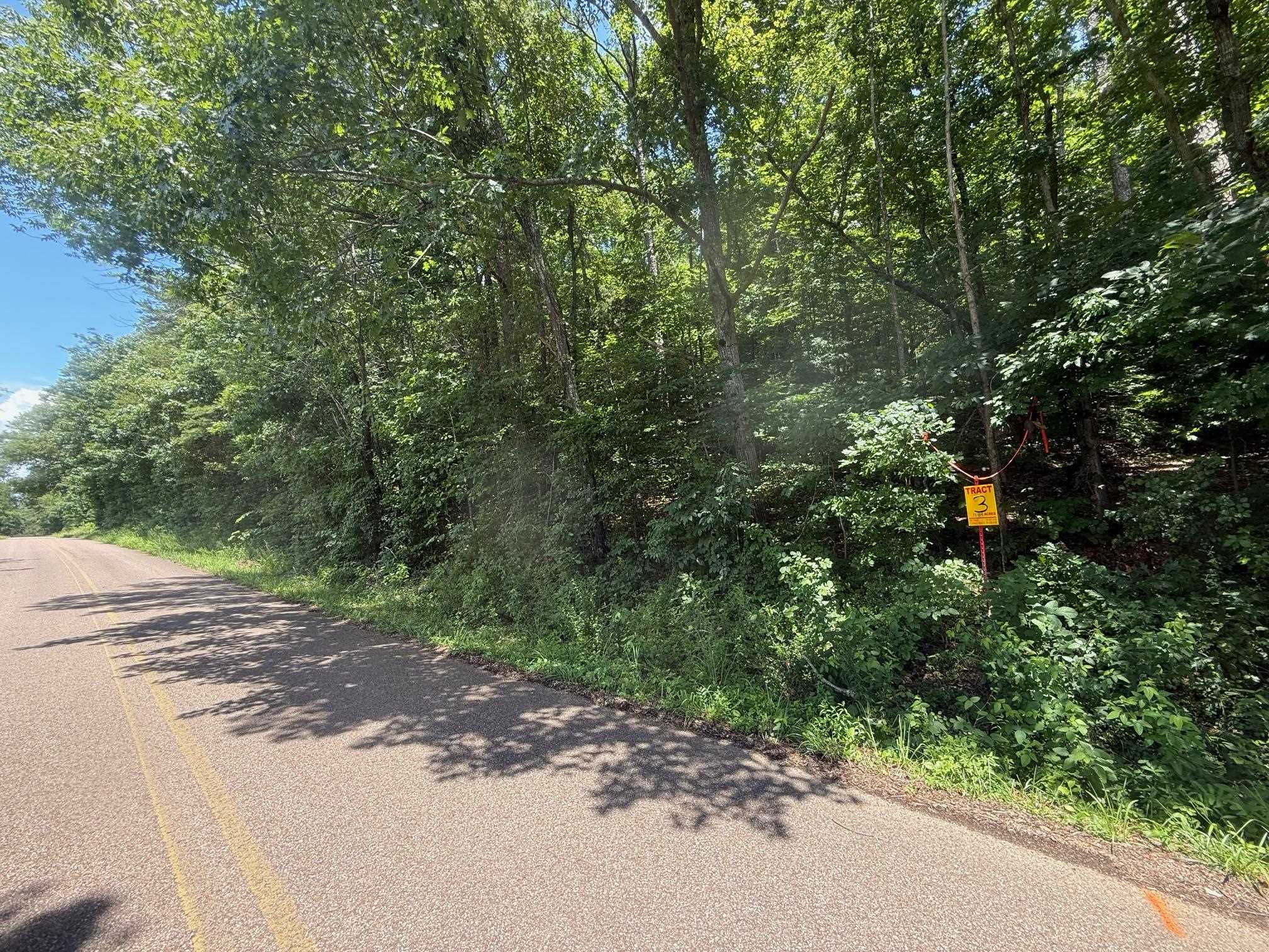 2 Cherry Chapel Loop Savannah, TN 38372 - Photo 18 of 22 a picture of street view