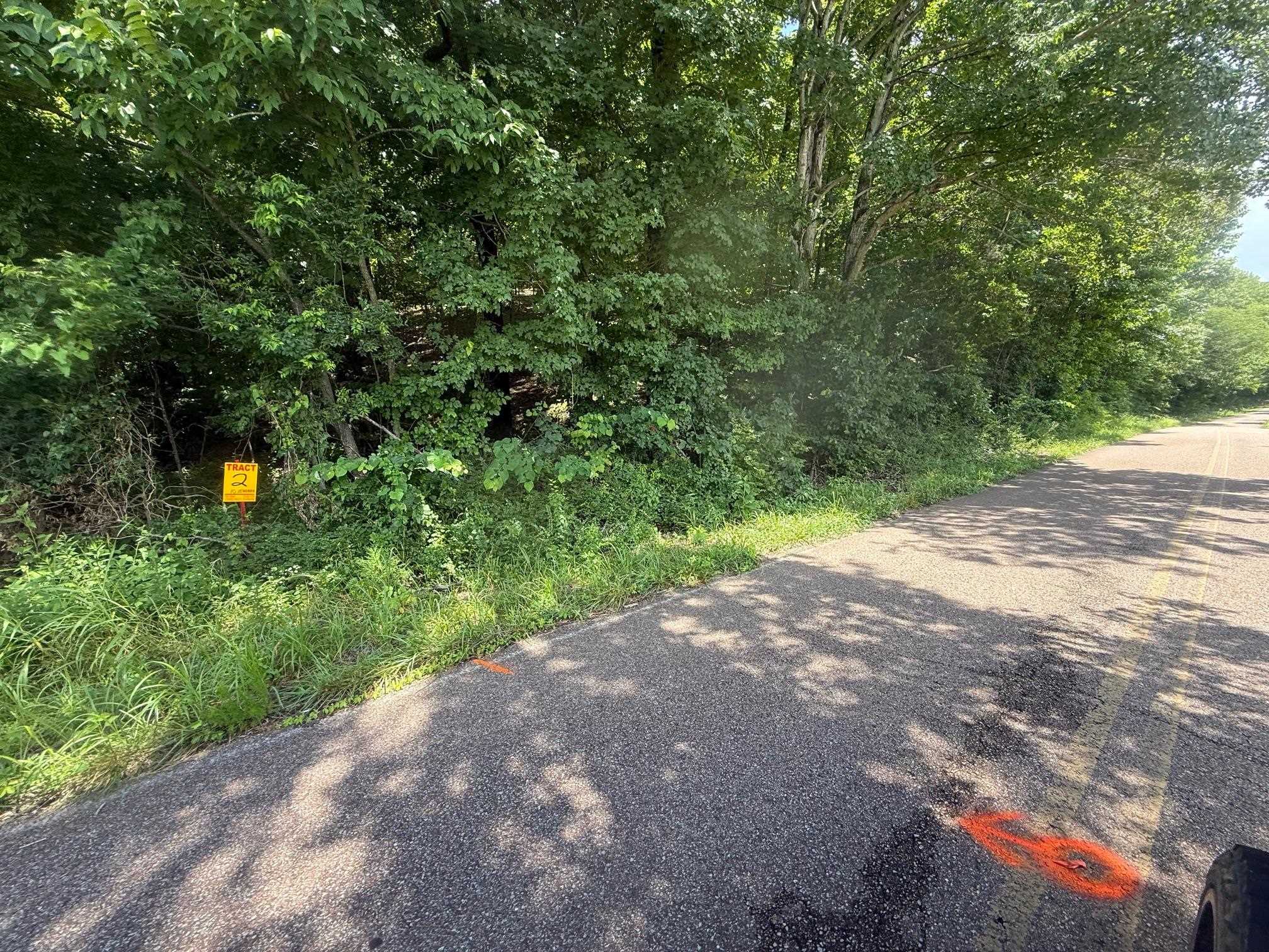 2 Cherry Chapel Loop Savannah, TN 38372 - Photo 2 of 22 a view of a yard with a tree