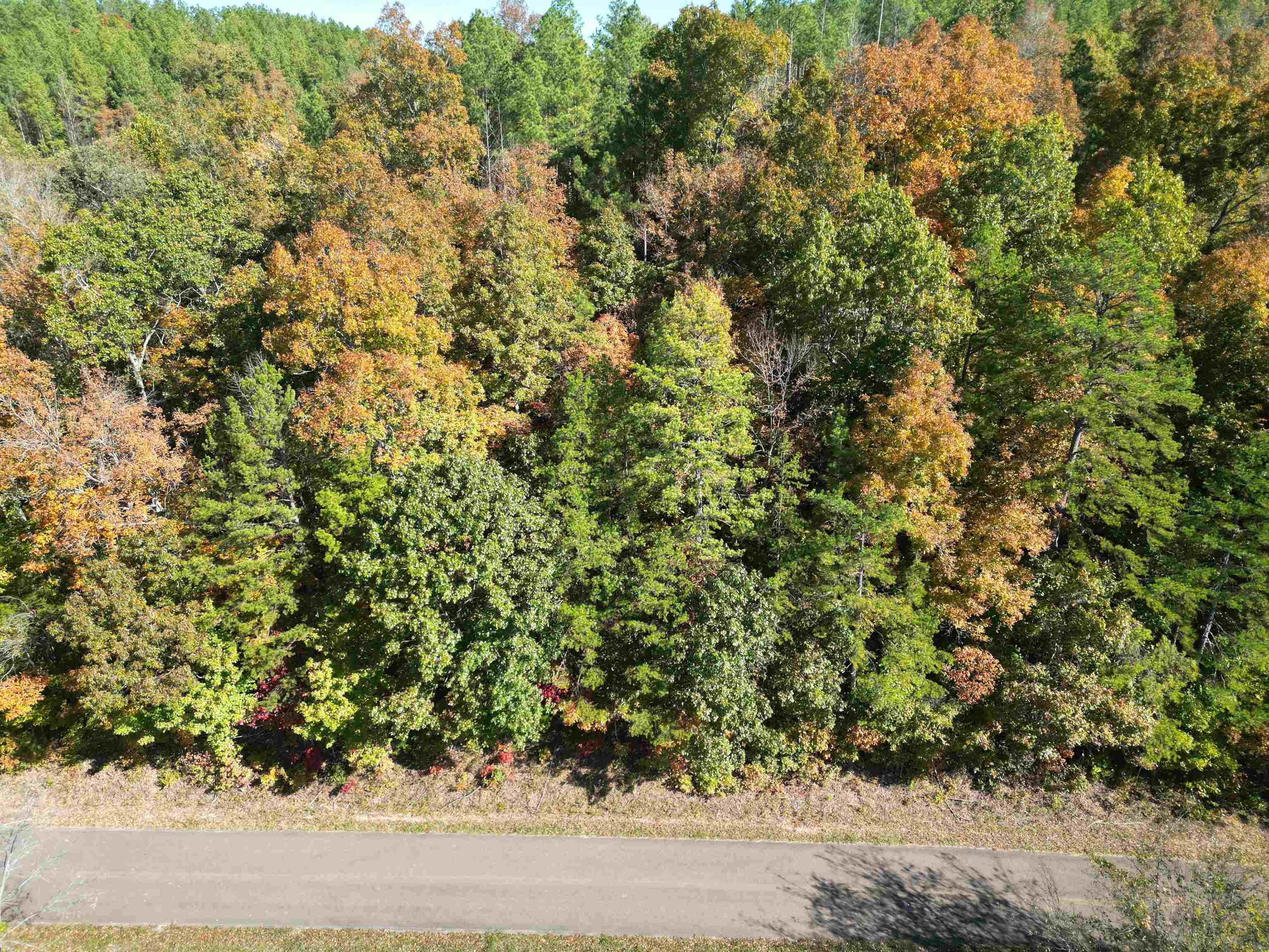 2 Cherry Chapel Loop Savannah, TN 38372 - Photo 21 of 22 a view of a yard with a plant