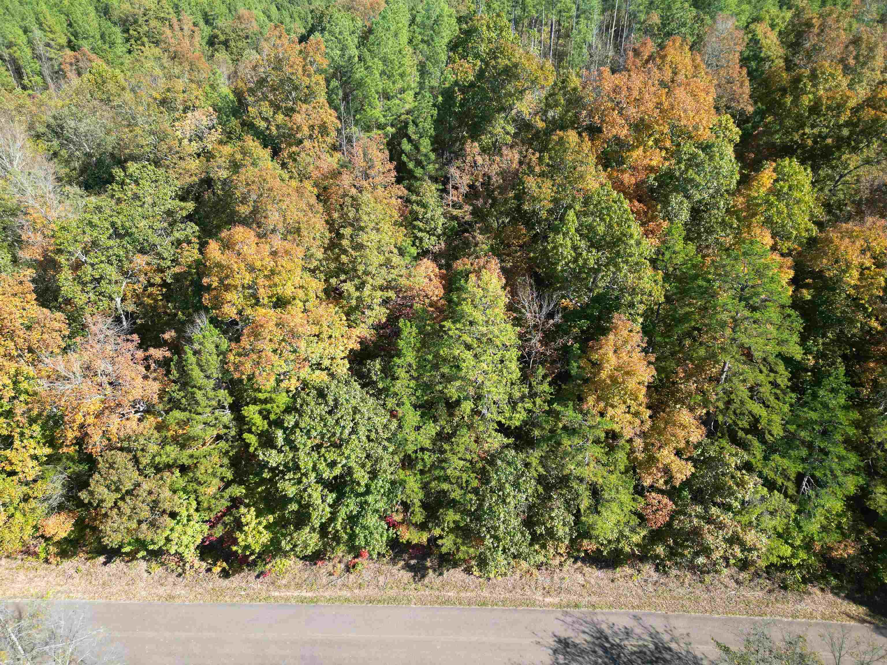 2 Cherry Chapel Loop Savannah, TN 38372 - Photo 22 of 22 a view of a yard with plants and wooden fence