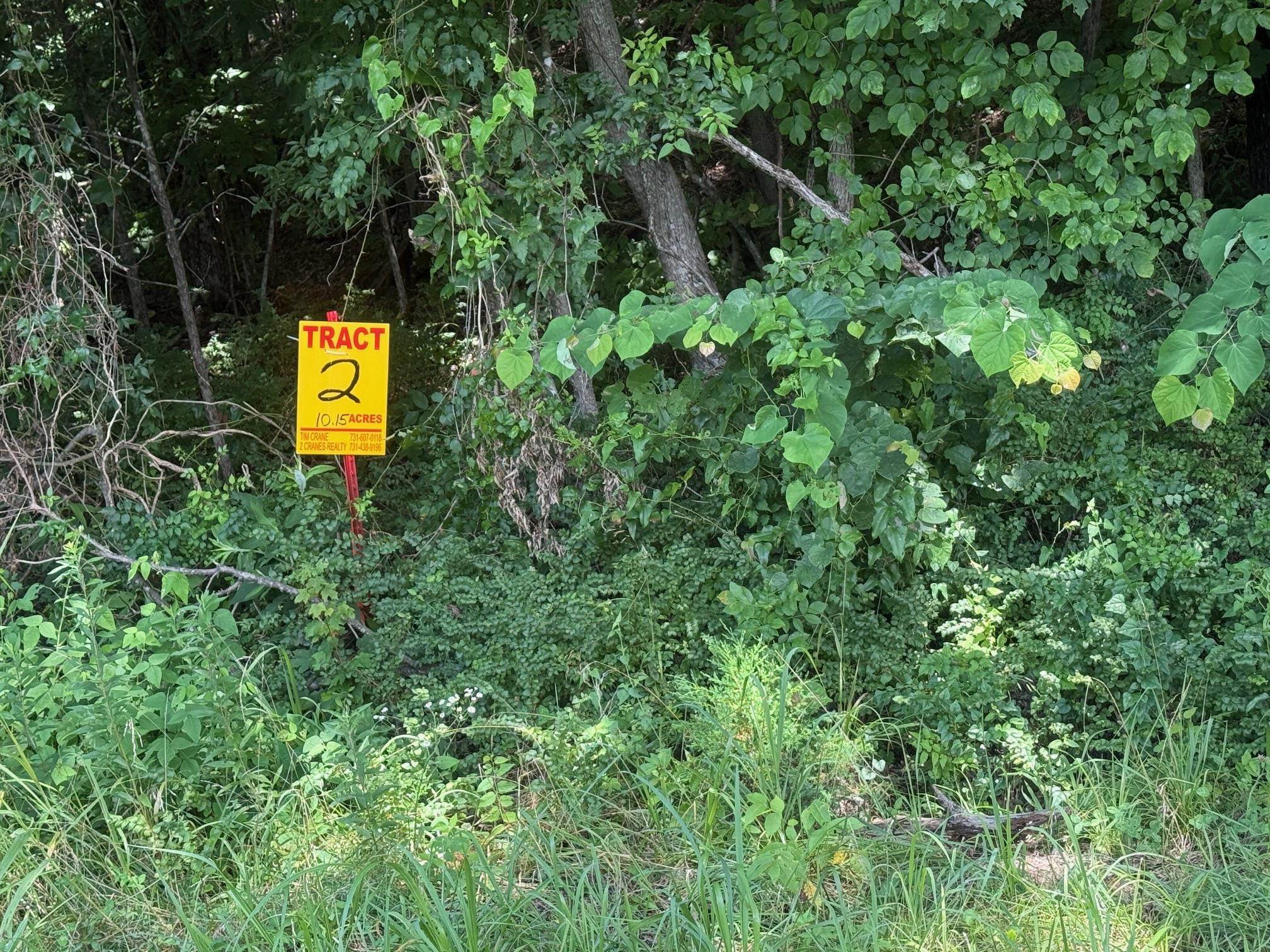 2 Cherry Chapel Loop Savannah, TN 38372 - Photo 3 of 22 a view of a lush green forest