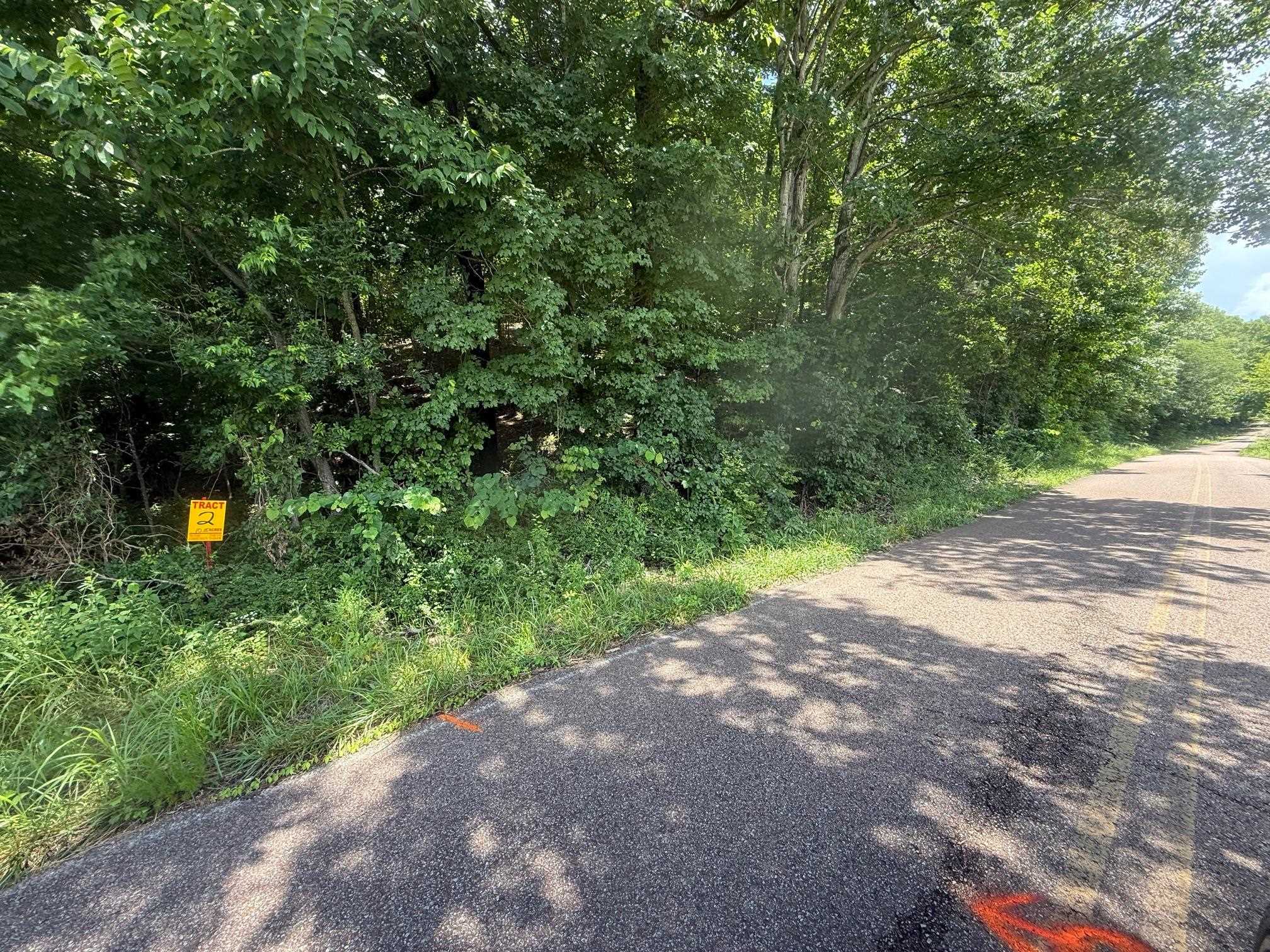 2 Cherry Chapel Loop Savannah, TN 38372 - Photo 4 of 22 a view of a yard with a plants and trees