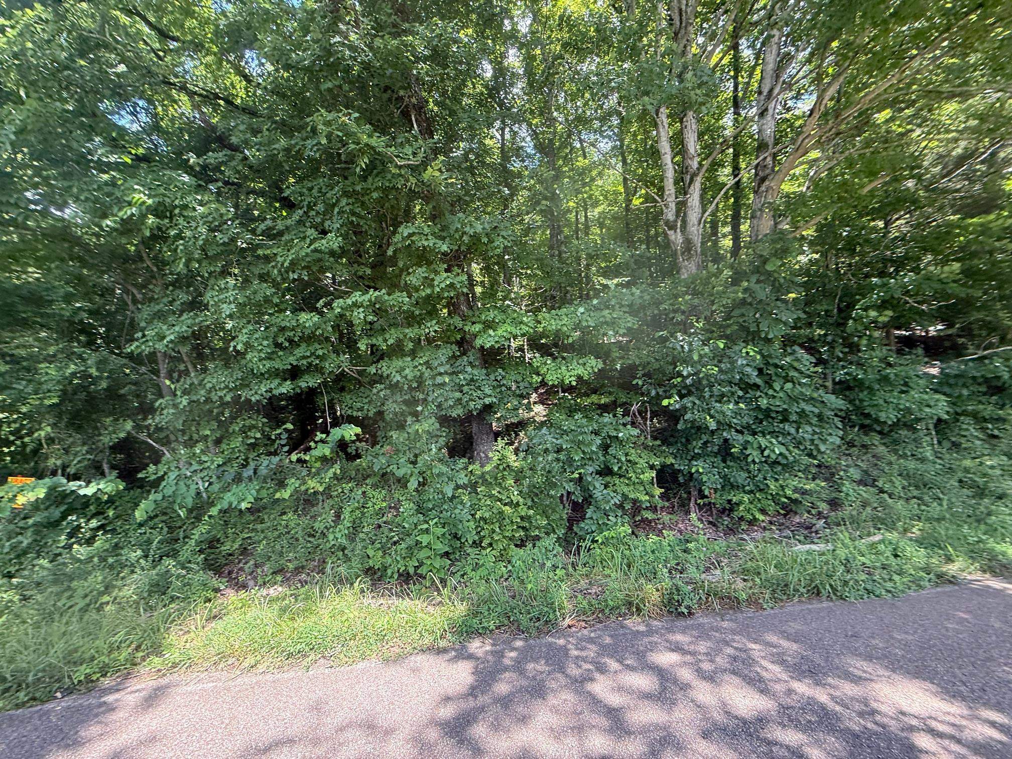 2 Cherry Chapel Loop Savannah, TN 38372 - Photo 5 of 22 a view of a lush green forest