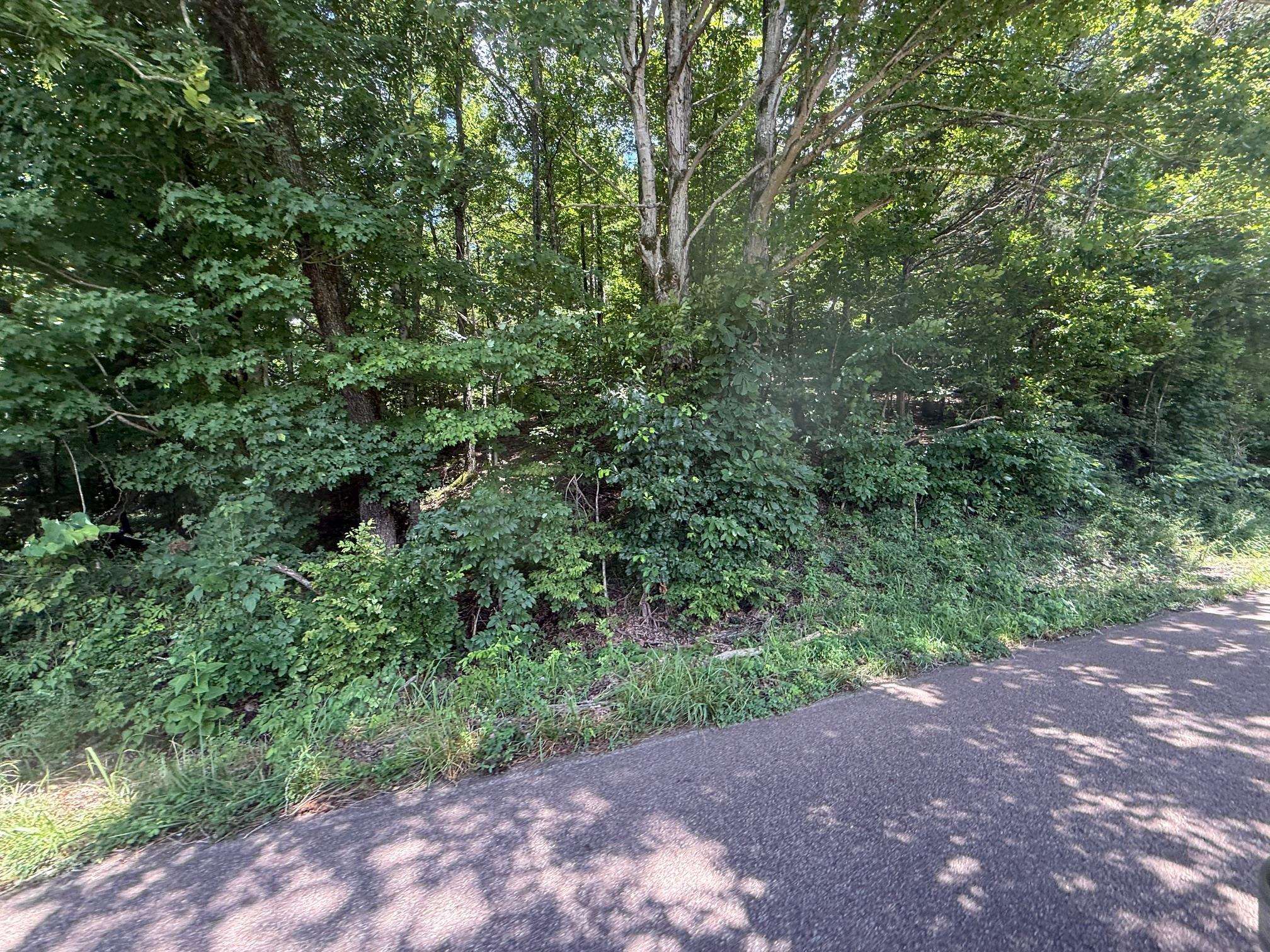 2 Cherry Chapel Loop Savannah, TN 38372 - Photo 6 of 22 a view of a large yard with lots of green space
