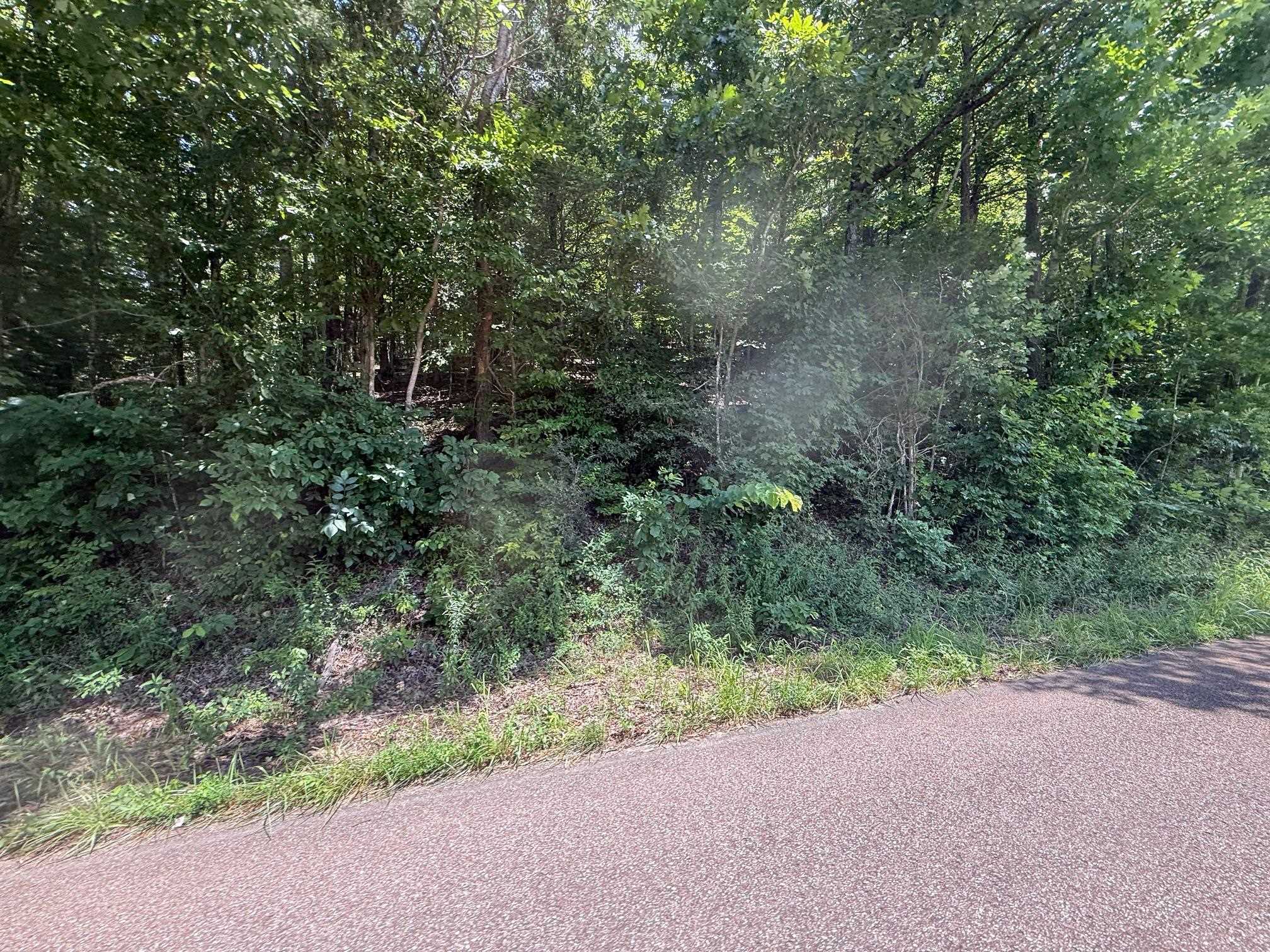 2 Cherry Chapel Loop Savannah, TN 38372 - Photo 7 of 22 a view of a forest with a street