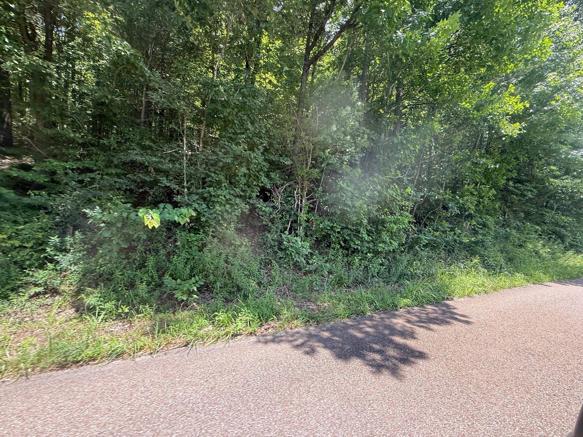 2 Cherry Chapel Loop Savannah, TN 38372 - Photo 8 of 22 a view of a road with a trees
