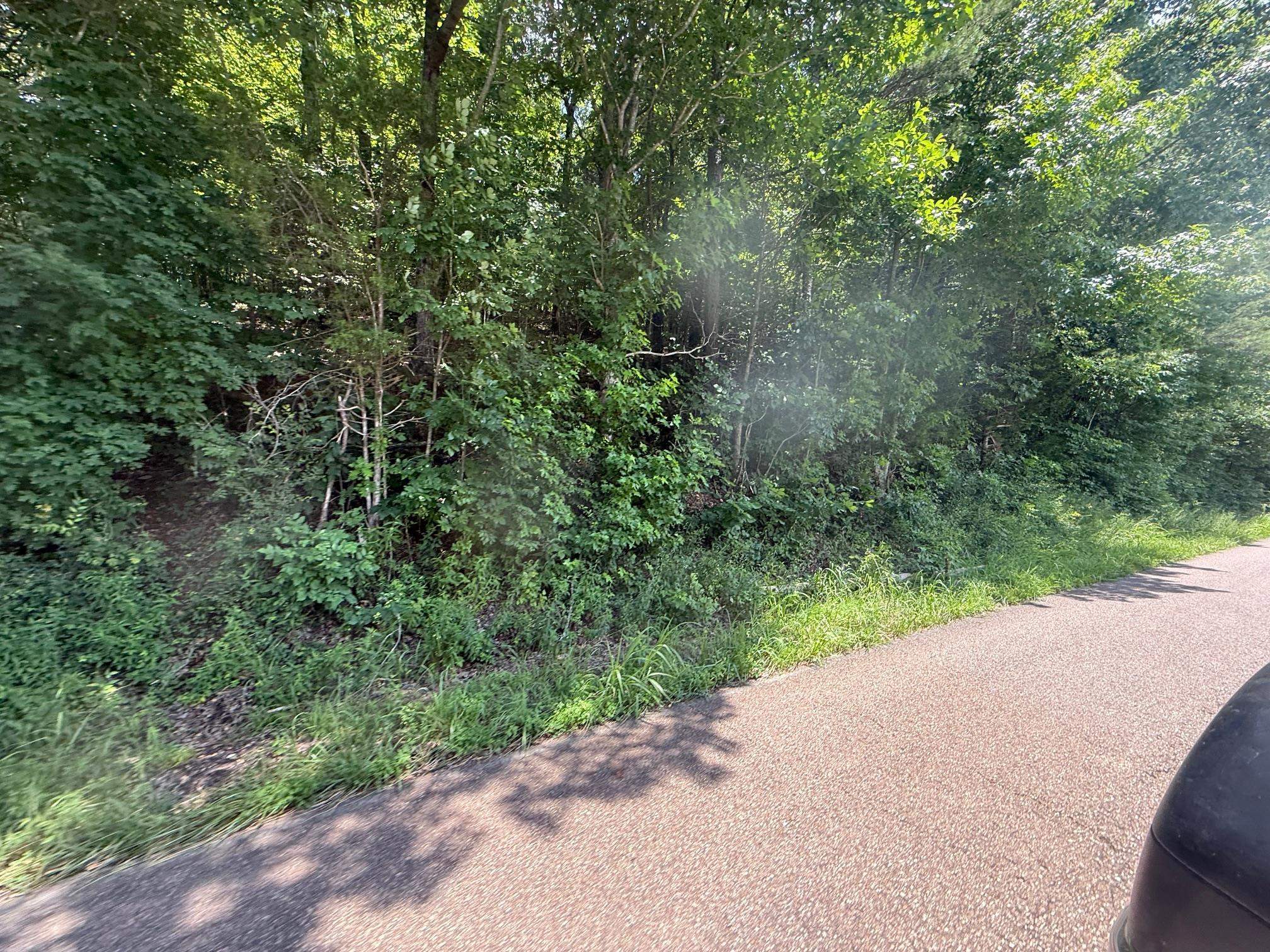2 Cherry Chapel Loop Savannah, TN 38372 - Photo 9 of 22 a view of a road with a trees