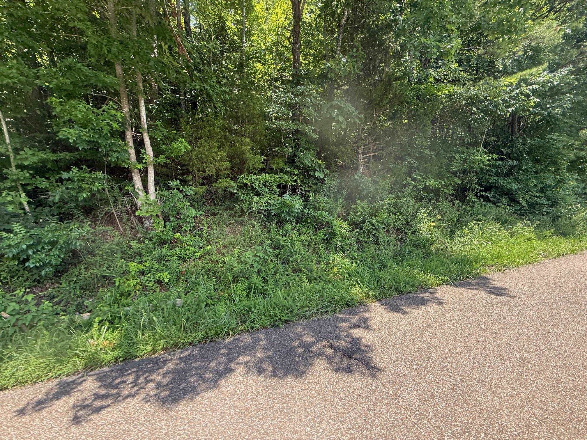 2 Cherry Chapel Loop Savannah, TN 38372 - Photo 10 of 22 a view of a road with a trees