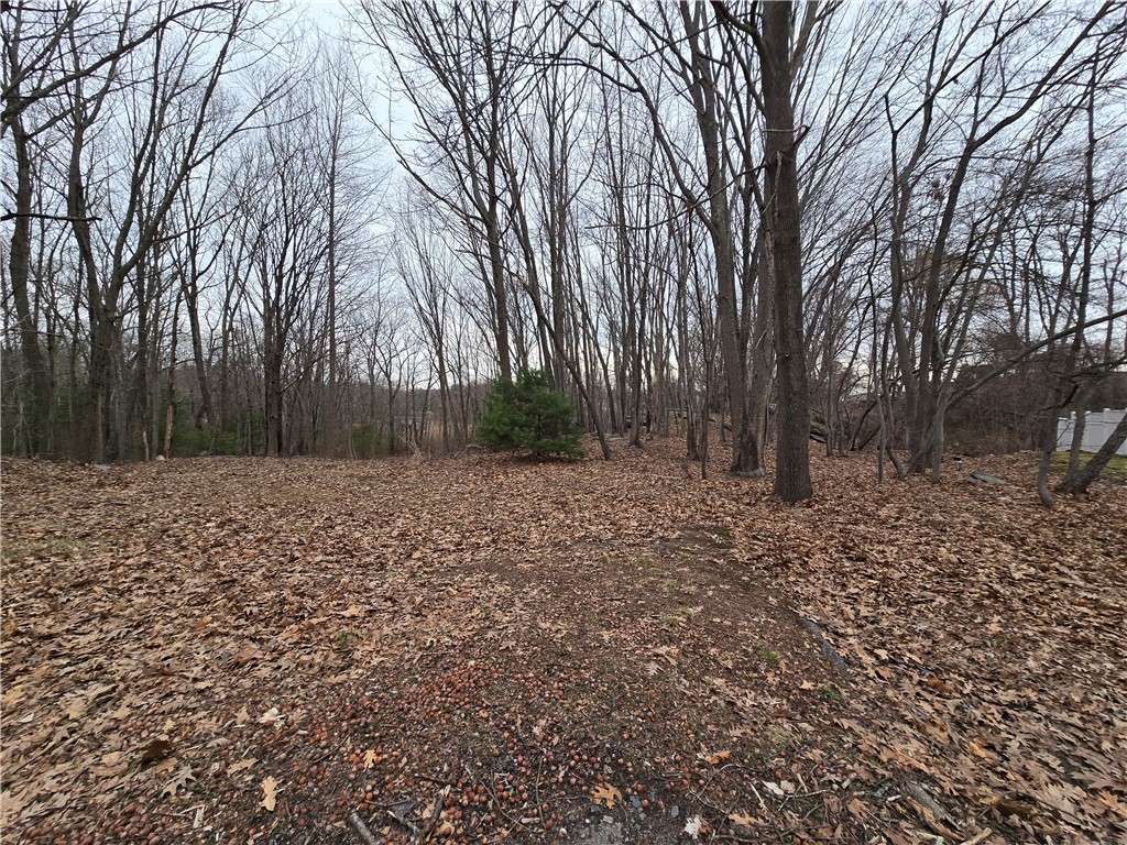 0 Chester Street North Smithfield, RI 02896 - Photo 12 of 13 View from Raymond St
