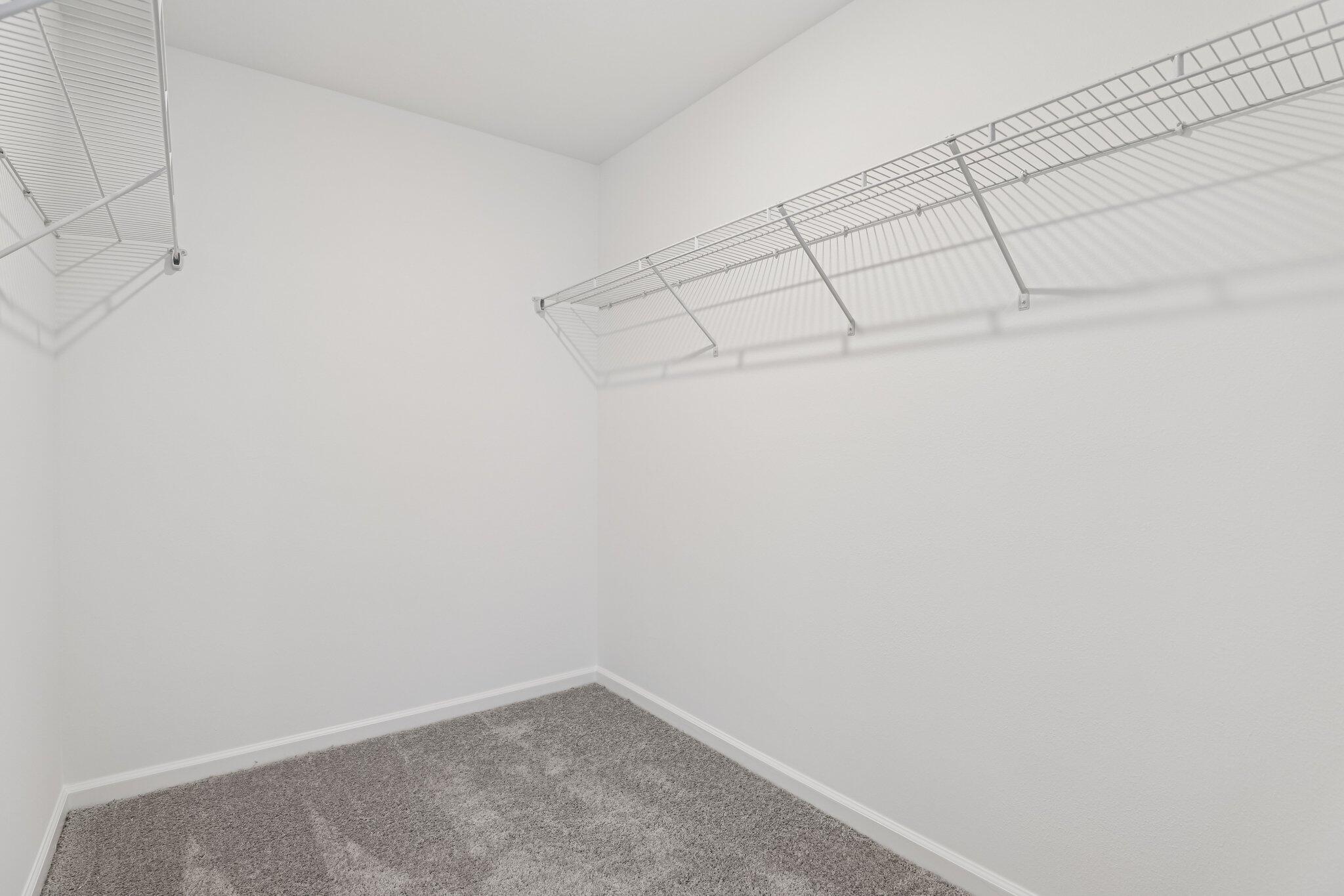 478 Colchester Court Moncks Corner, SC 29461 - Photo 15 of 24 Pulsar_Townhomes_Primary_Closet_ab