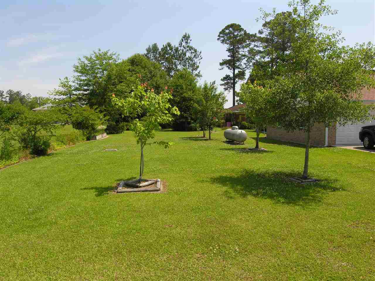 3601 Spivey Street Loris, SC 29569 - Photo 6 of 25 Gallery Image 6