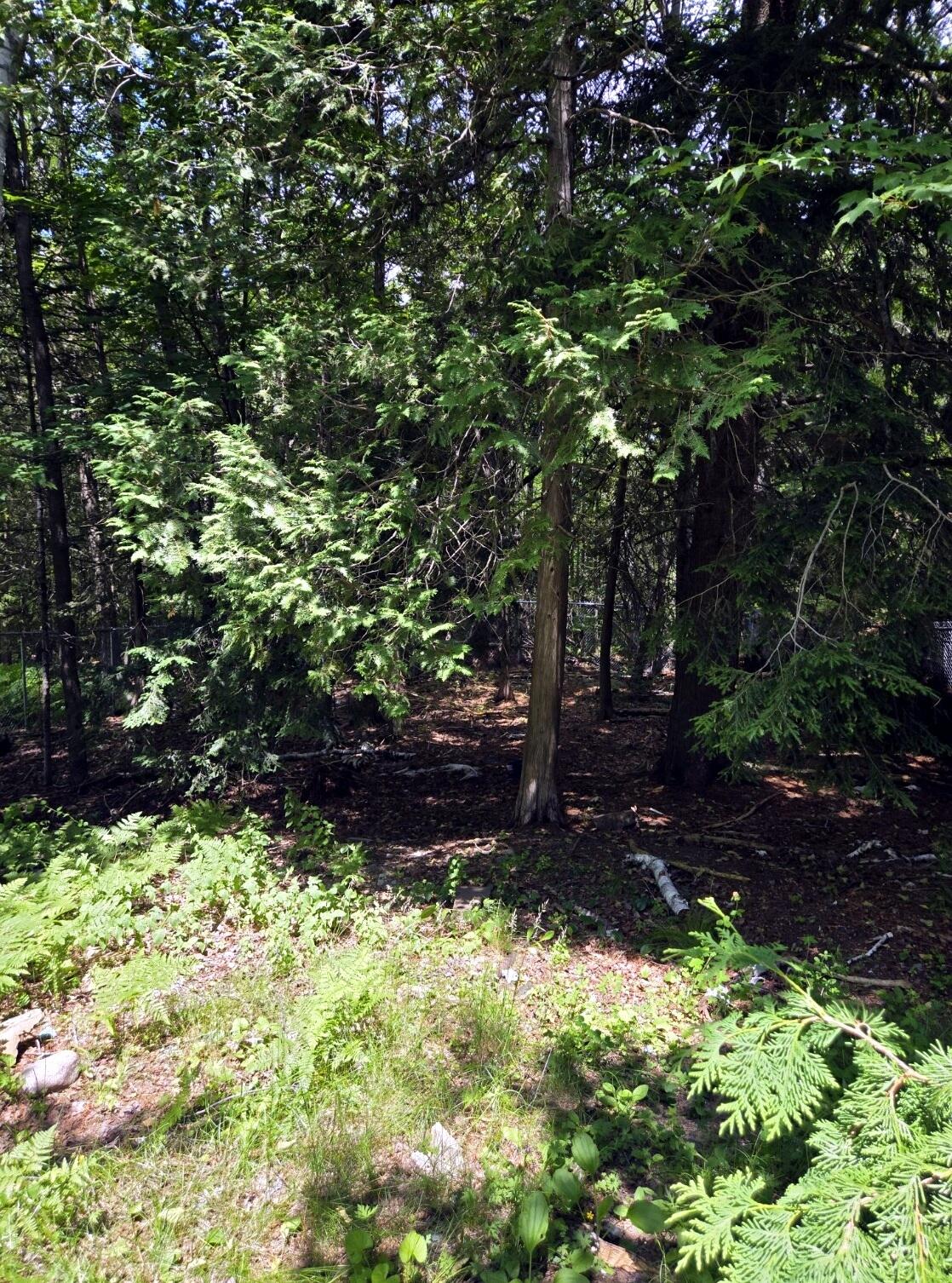 123 Cedar Street Millinocket, ME 04462 - Photo 14 of 16 Backyard