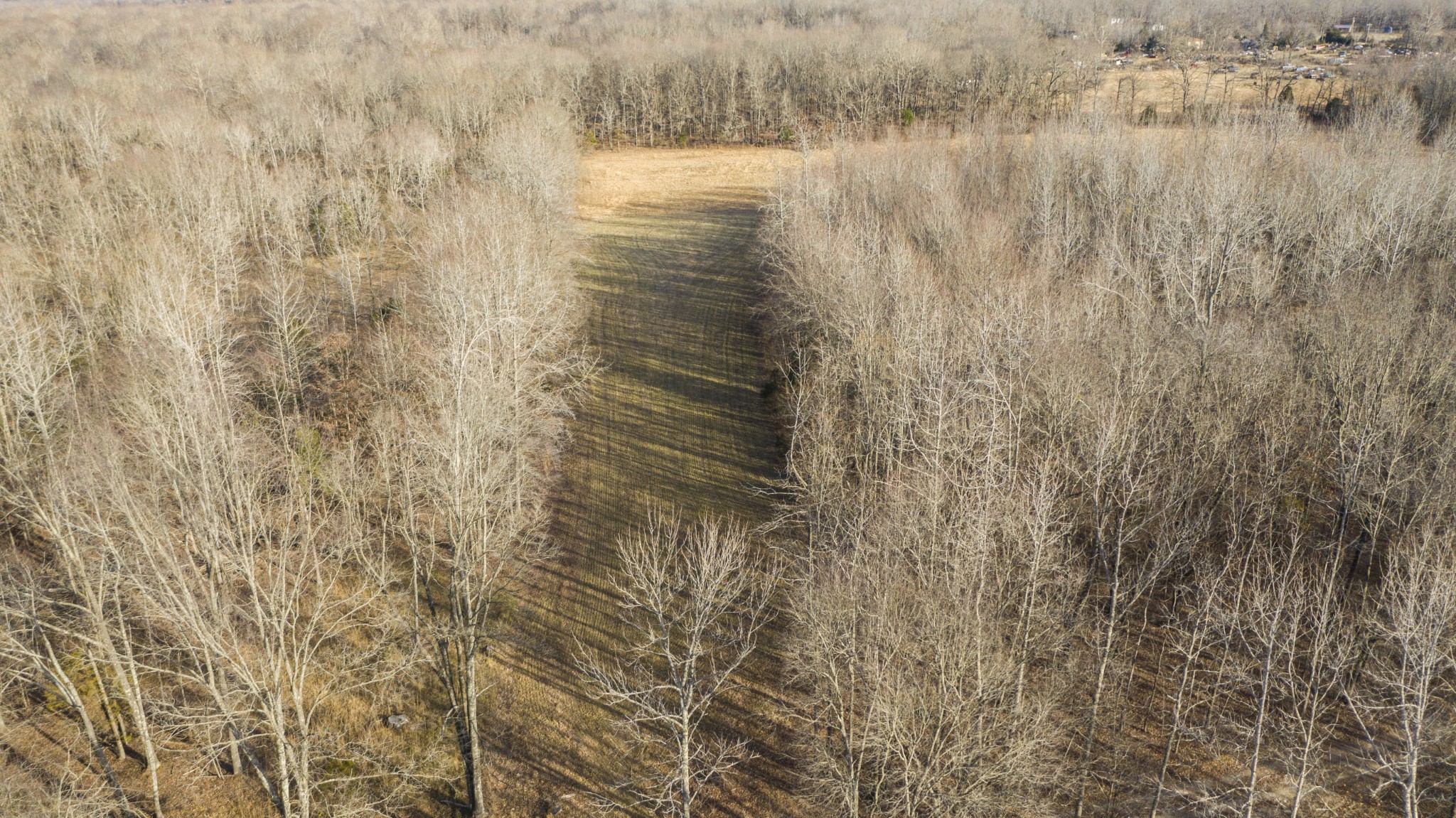 1224 Hortense Road Dickson, TN 37055 - Photo 14 of 24 Gallery Image 14