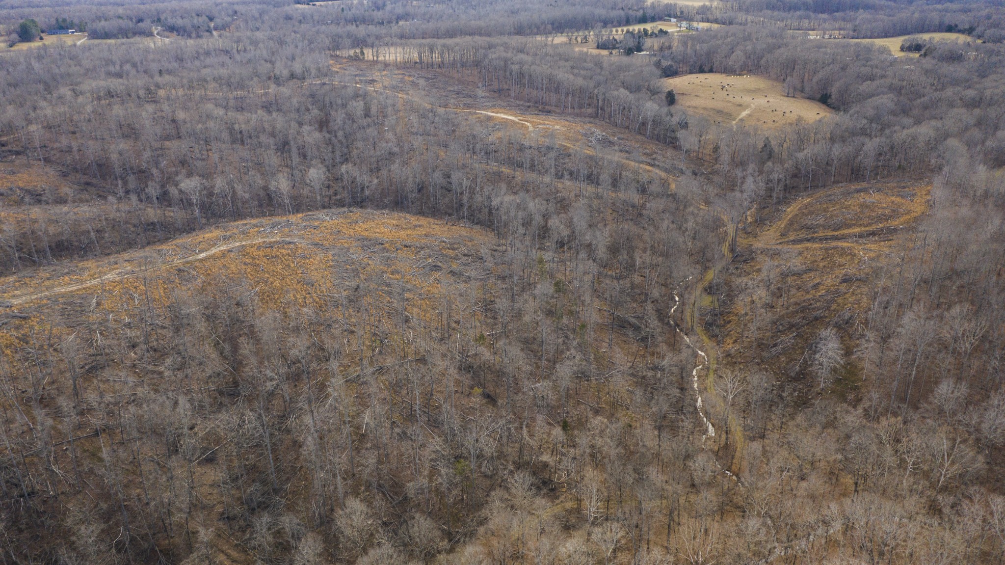 1224 Hortense Road Dickson, TN 37055 - Photo 22 of 24 Gallery Image 22