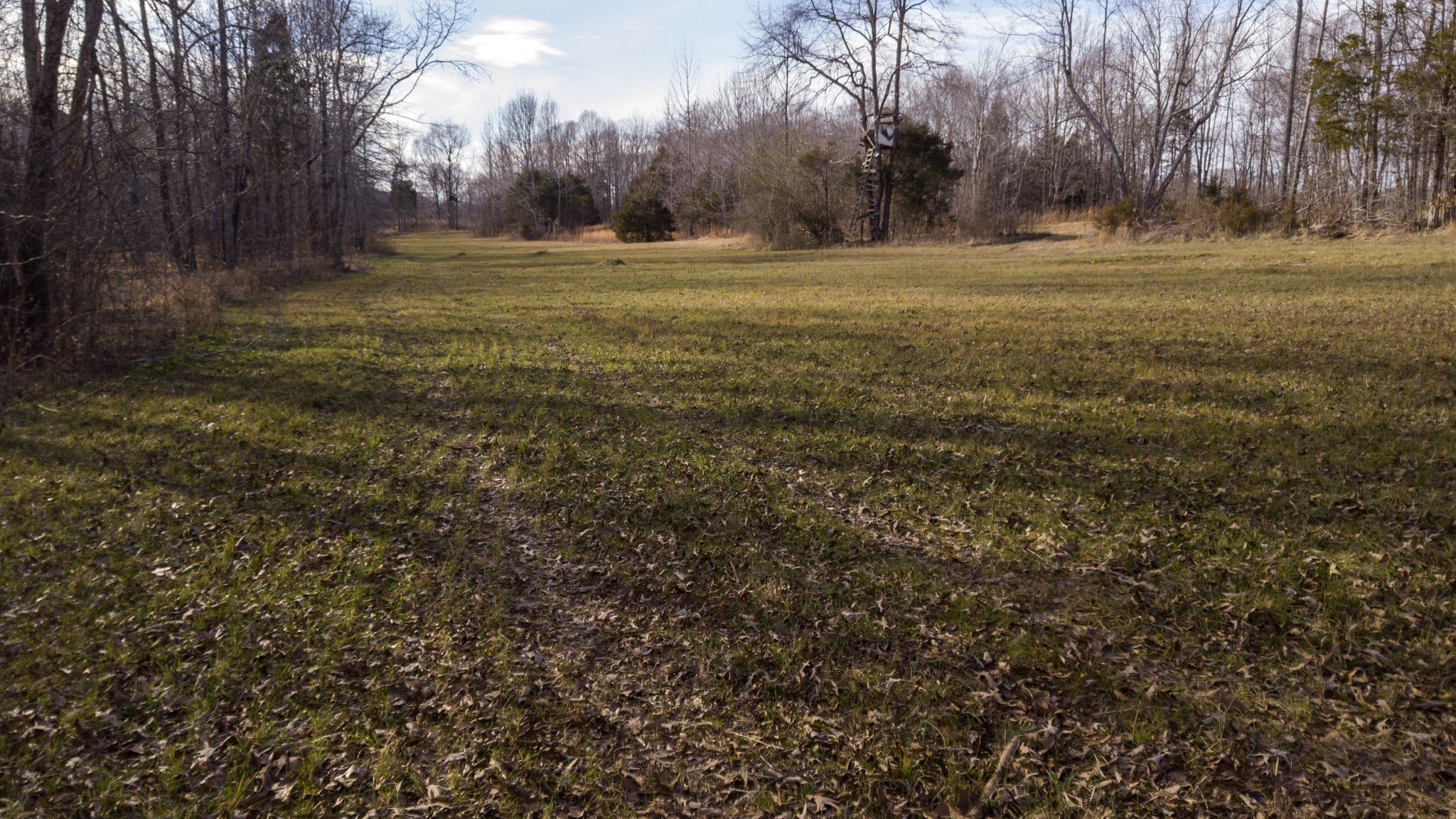 1224 Hortense Road Dickson, TN 37055 - Photo 8 of 24 Gallery Image 8