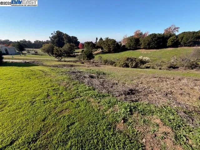 a view of a field with an ocean view
