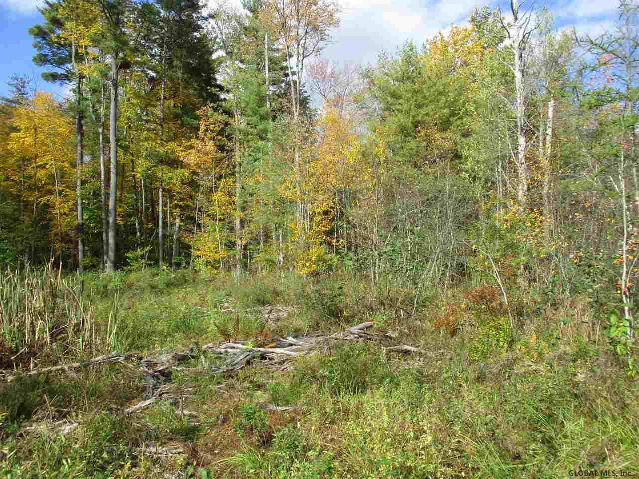 South Greenfield Road Greenfield Center, NY 12833 - Photo 11 of 19 Photo 11