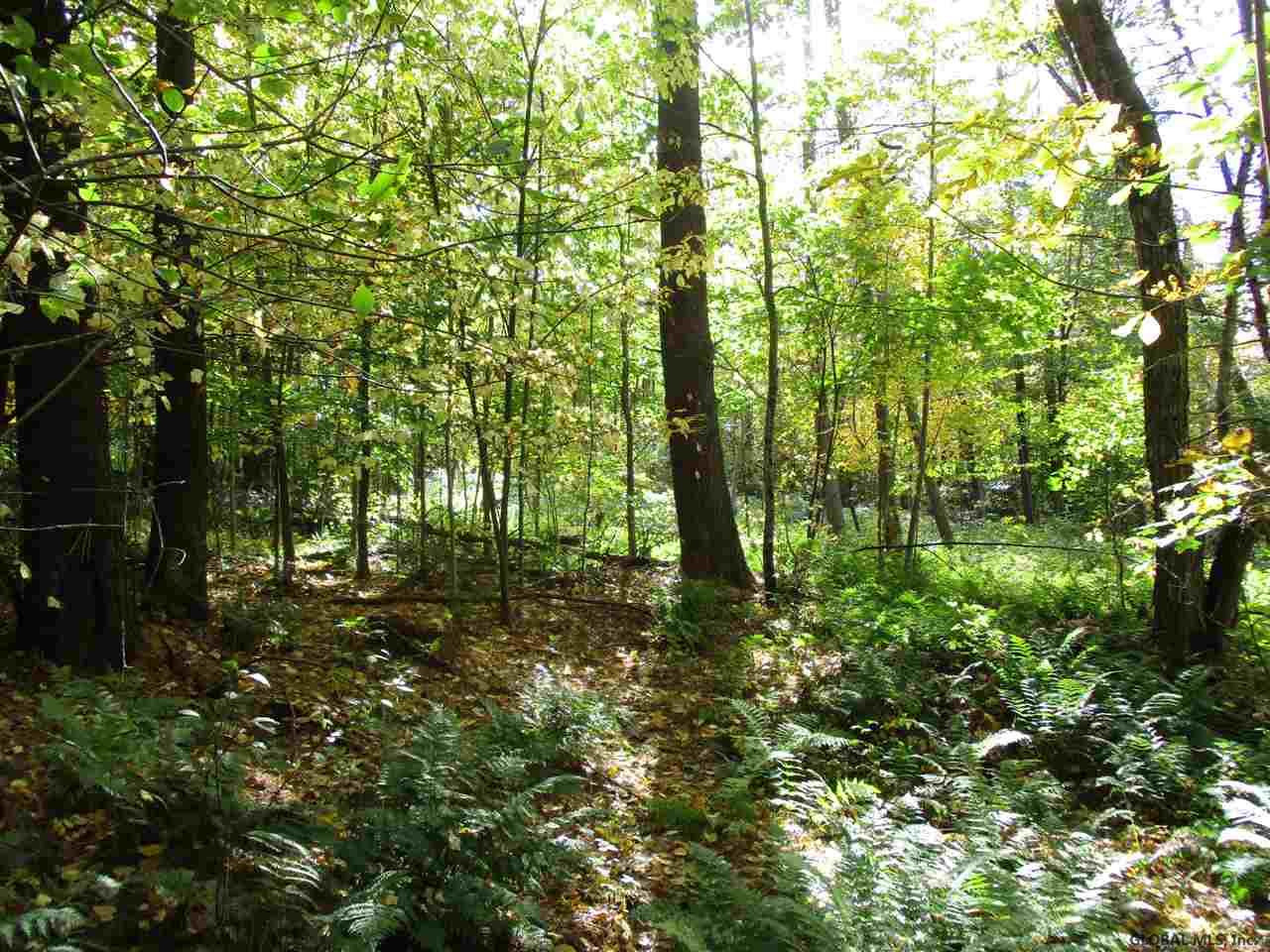 South Greenfield Road Greenfield Center, NY 12833 - Photo 12 of 19 Photo 12