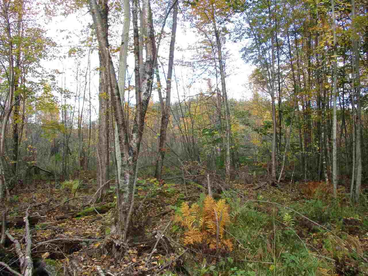 South Greenfield Road Greenfield Center, NY 12833 - Photo 13 of 19 Photo 13