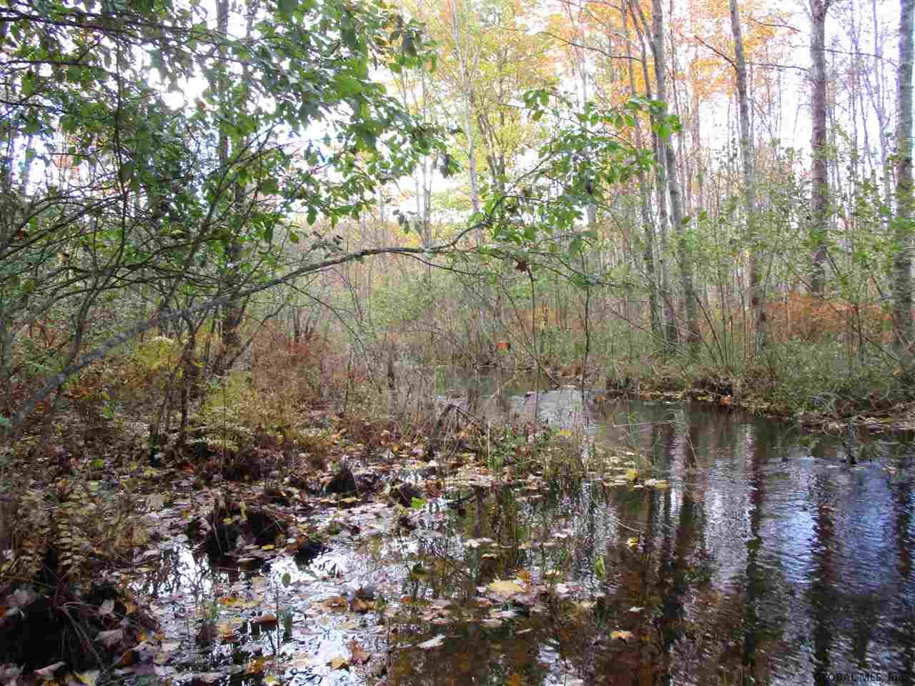 South Greenfield Road Greenfield Center, NY 12833 - Photo 14 of 19 Photo 14