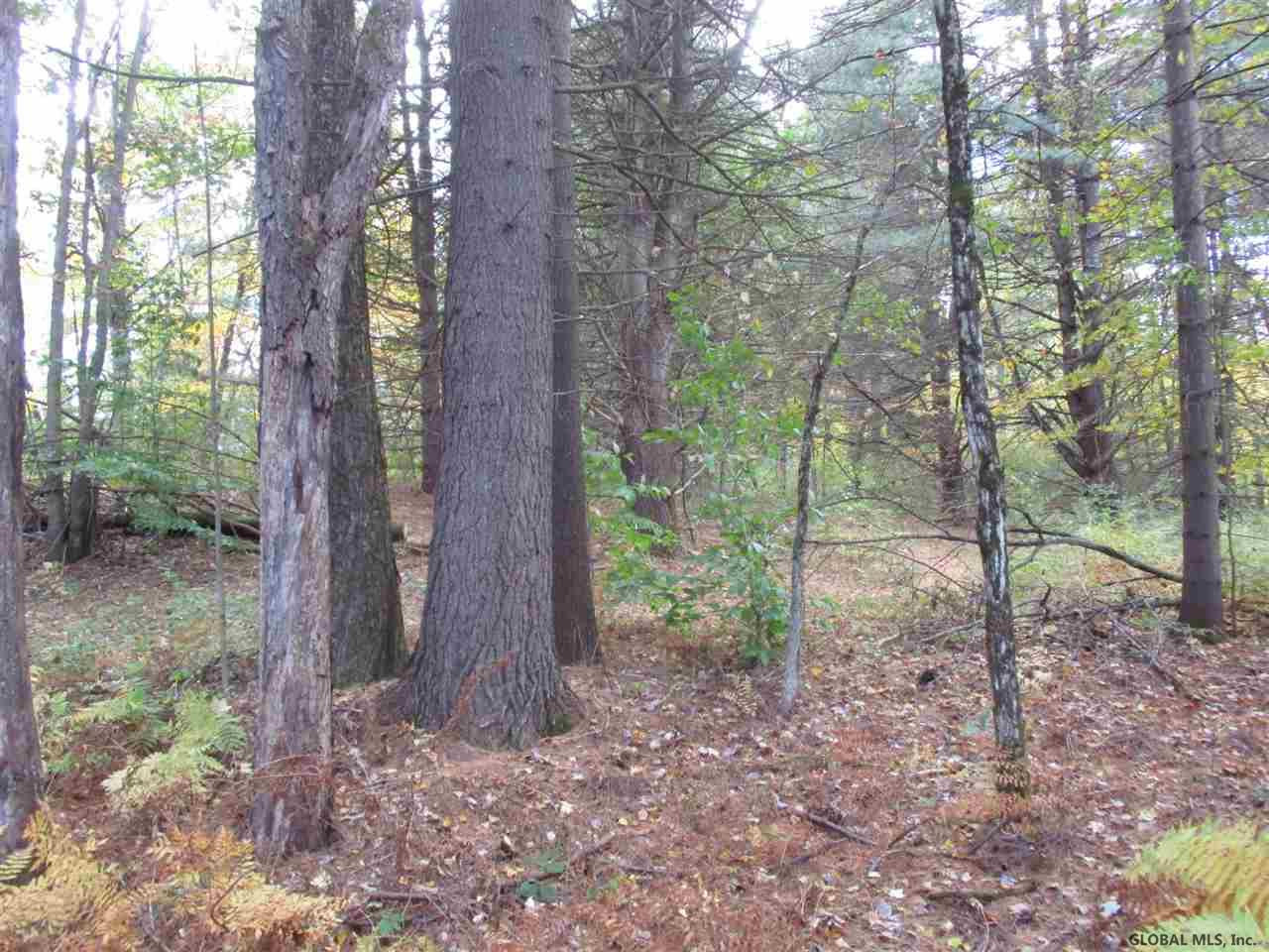 South Greenfield Road Greenfield Center, NY 12833 - Photo 15 of 19 Photo 15